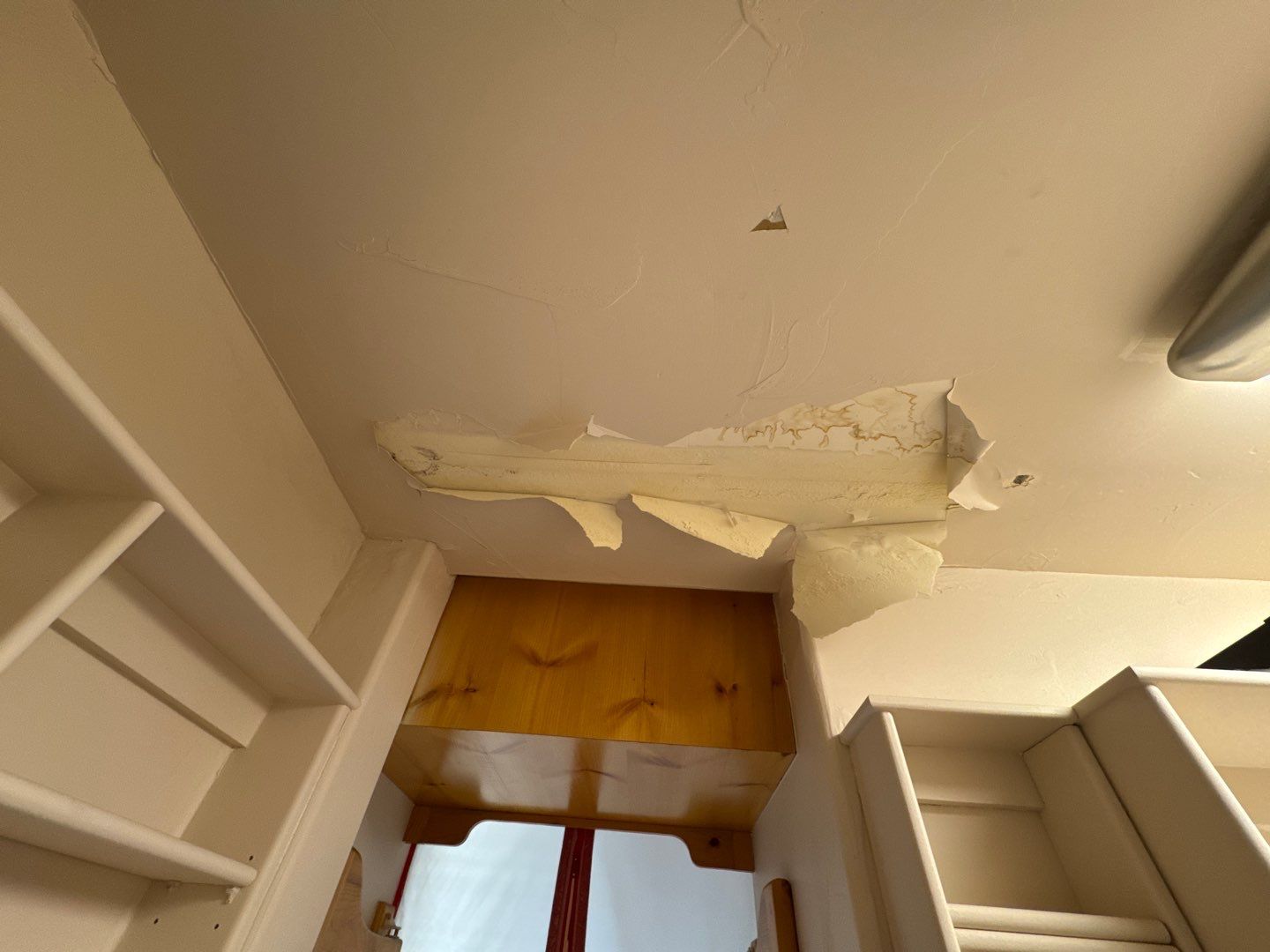 Mold Damage Project in Castle Rock by Accountable Home Services