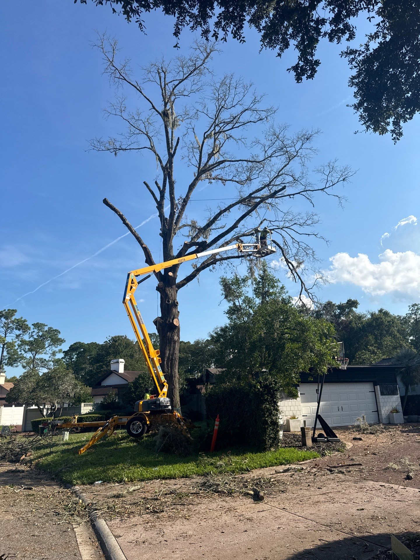 Deerwood Resident | Tree Removal by ProGreen Services