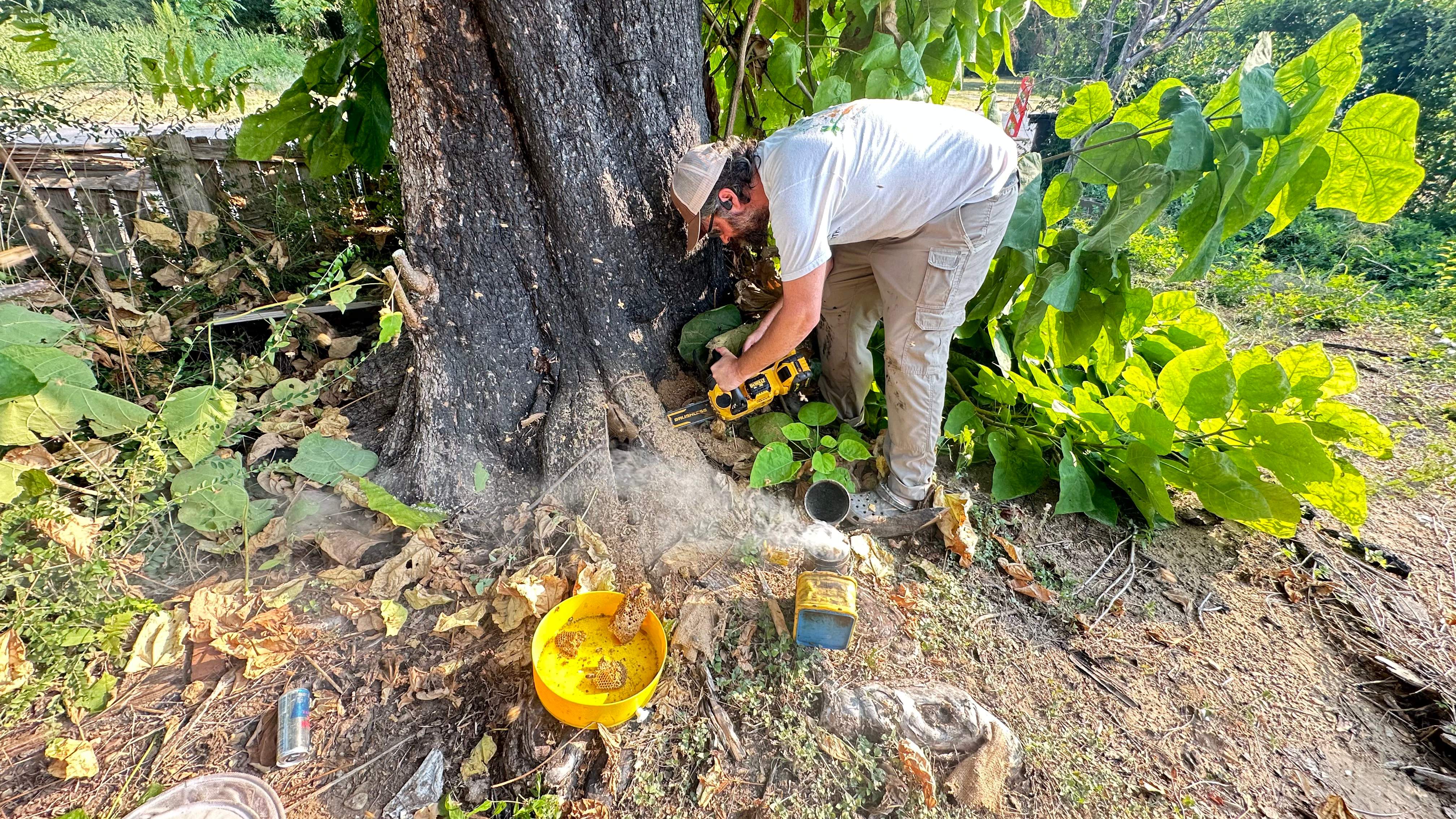 City Tree Company  by Rockwall Honey Bee Company