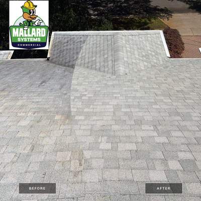 Shingle Roof Cleaning