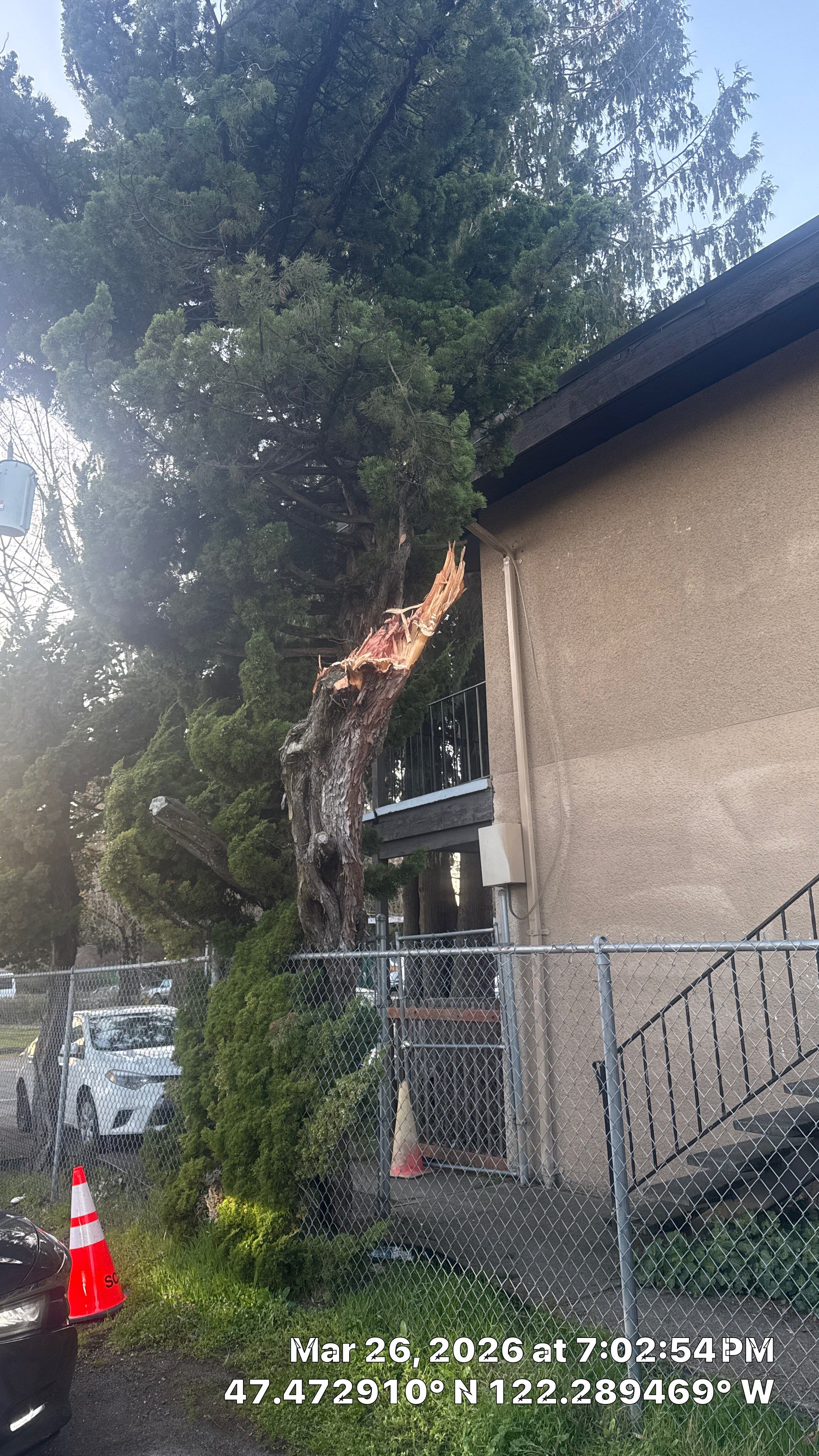 Tukwila Arborist Reporting by Sound Tree Care LLC