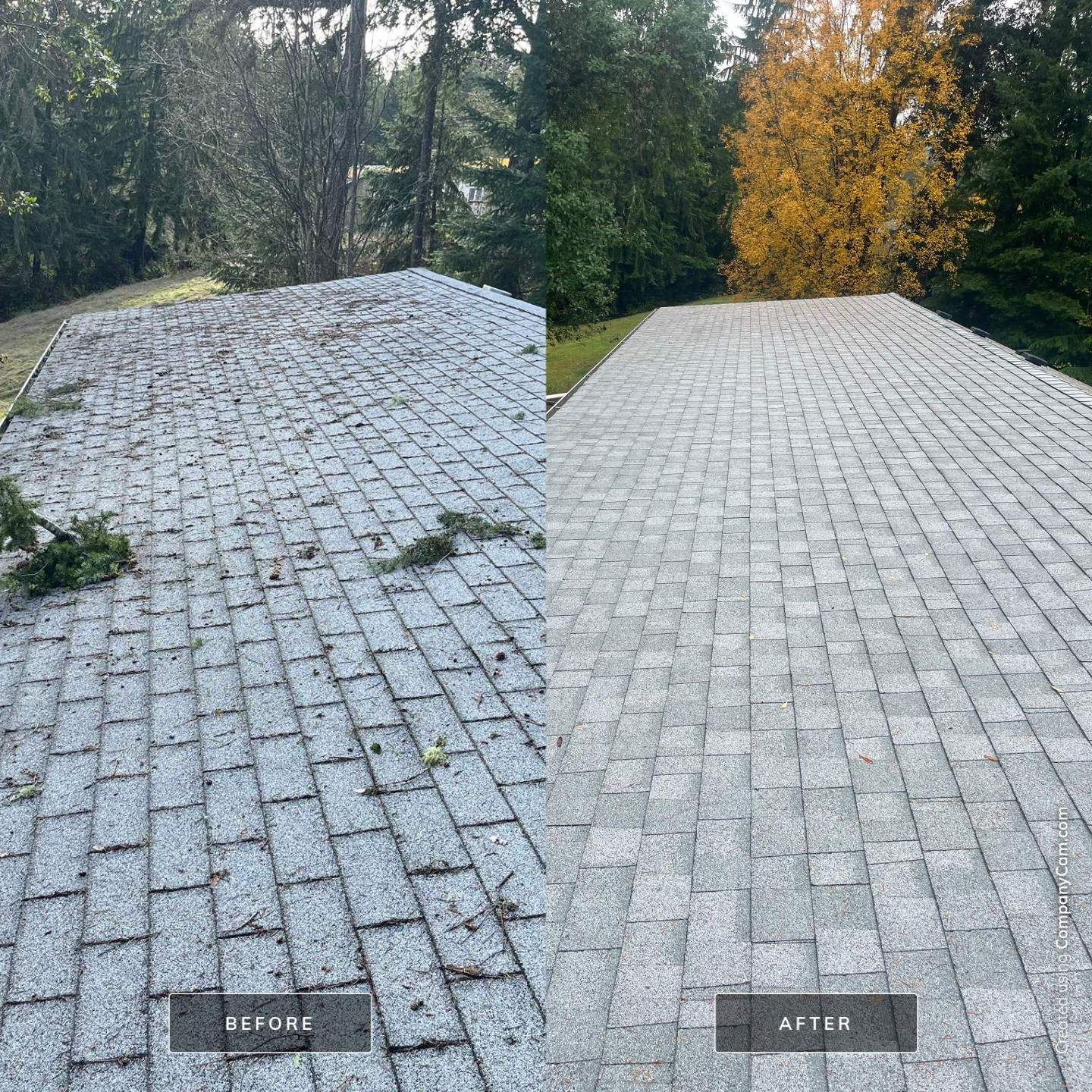 Residential Roof Cleaning in Port Orchard, WA by Hanley Construction