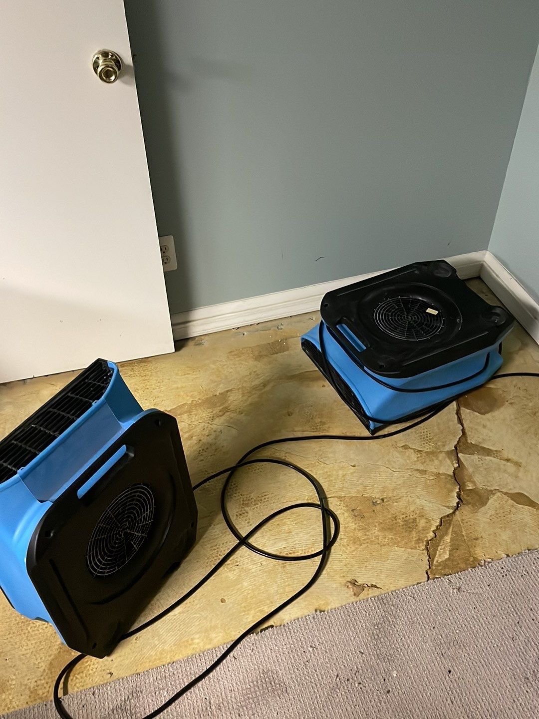 Project in Southfield by EzDry Water Mitigation & Property Restoration