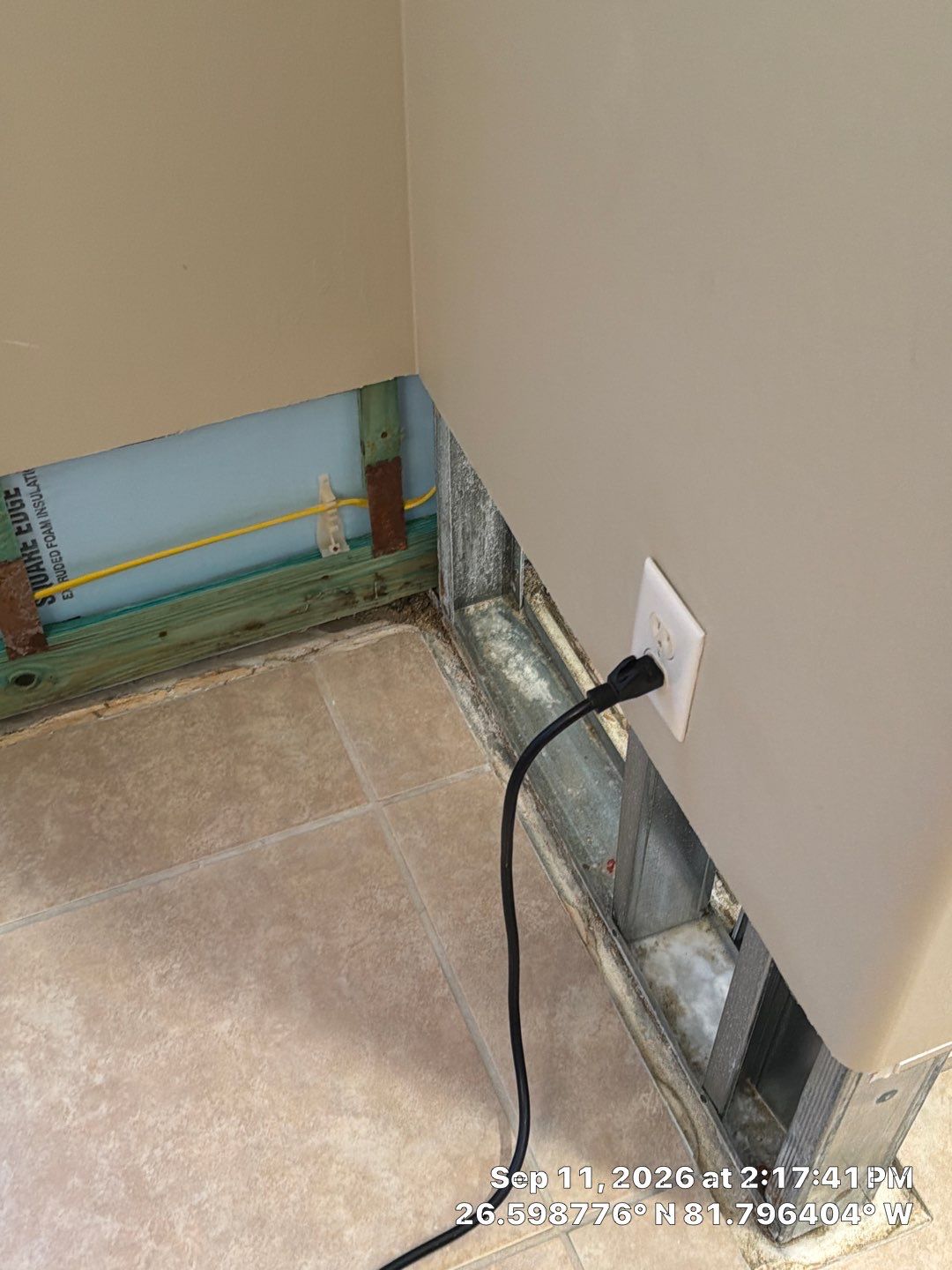 Fort Myers Water Damage Restoration and Professional Mold Remediation by Microscope