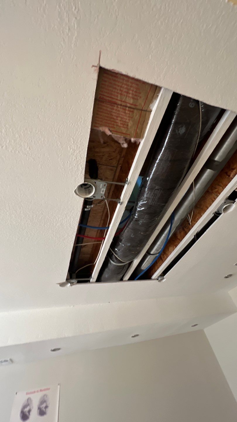 Mold Remediation by Accountable Home Services