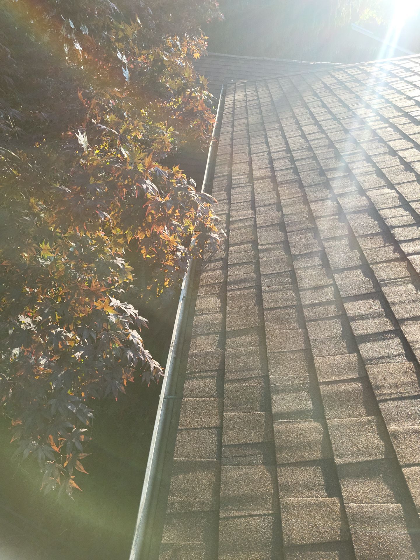 Atlas Pinnacle, Color, Burnt Hickory, Drip Edge, Color, Royal Brown by Eagle Eye Roofing