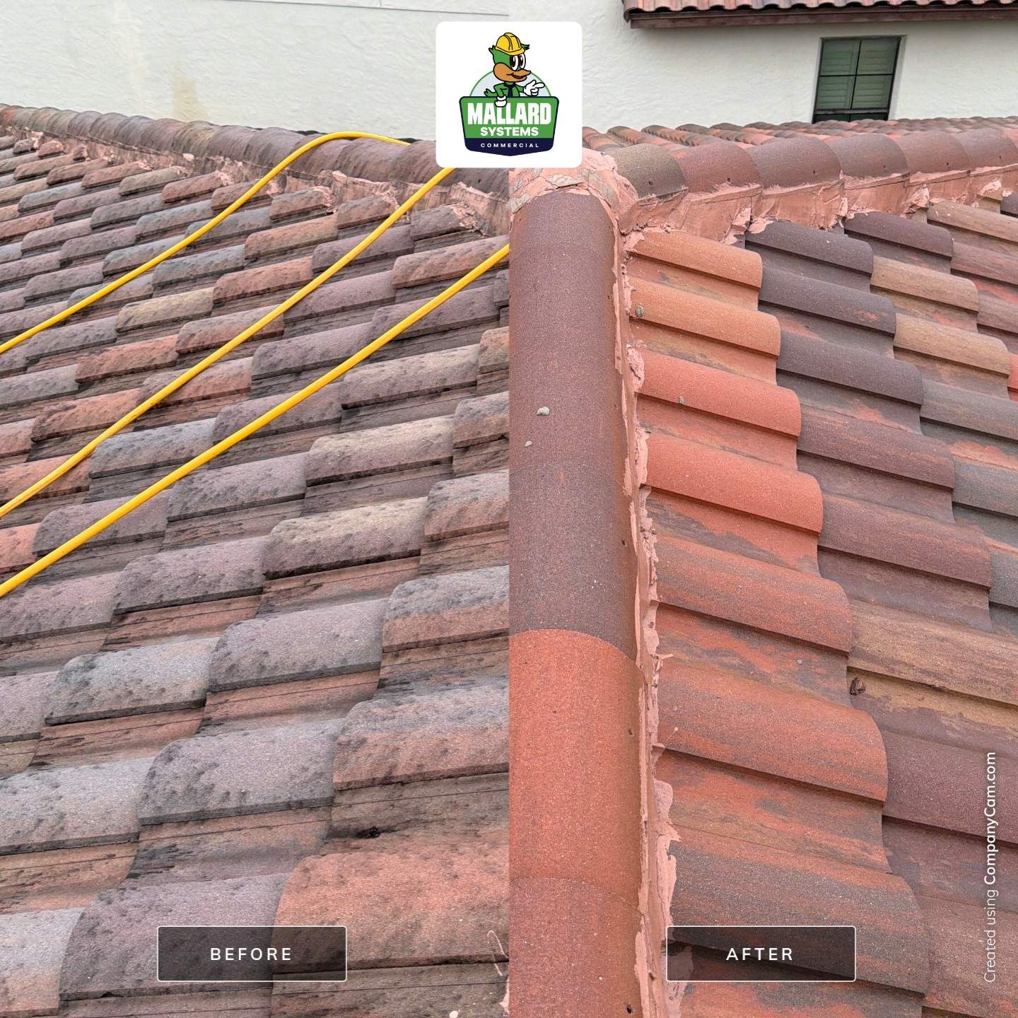 Residential Tile Roof Cleaning in Windermere by Mallard Systems