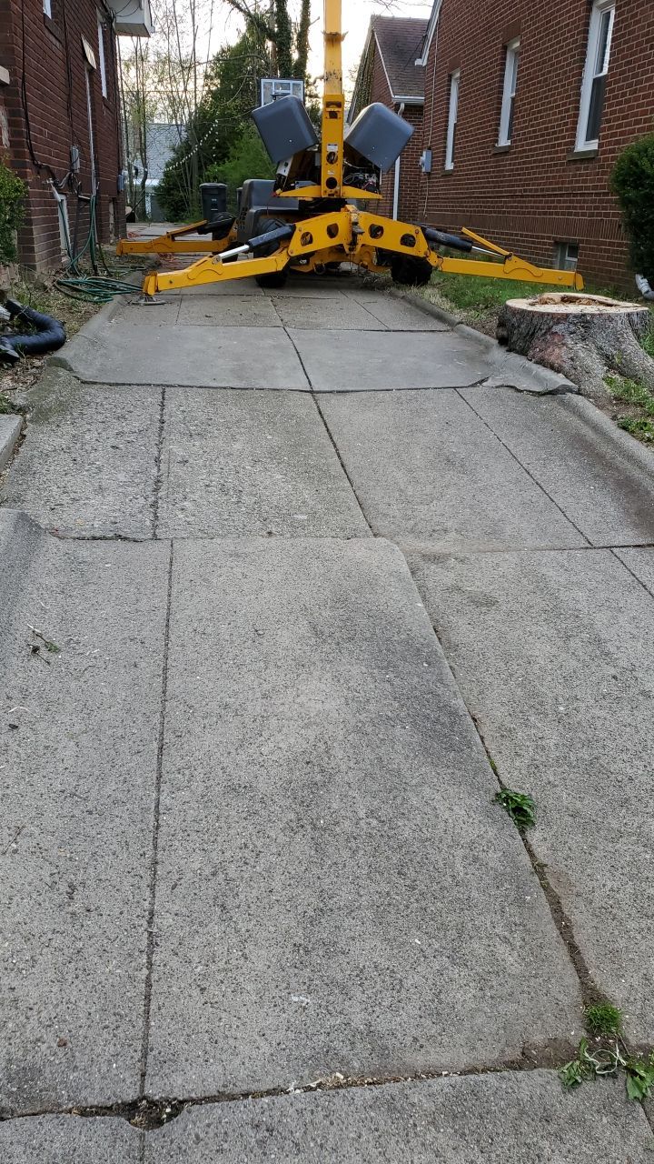 Tree Removal using Tree Removal by Mike Jones & Sons Tree Service LLC 