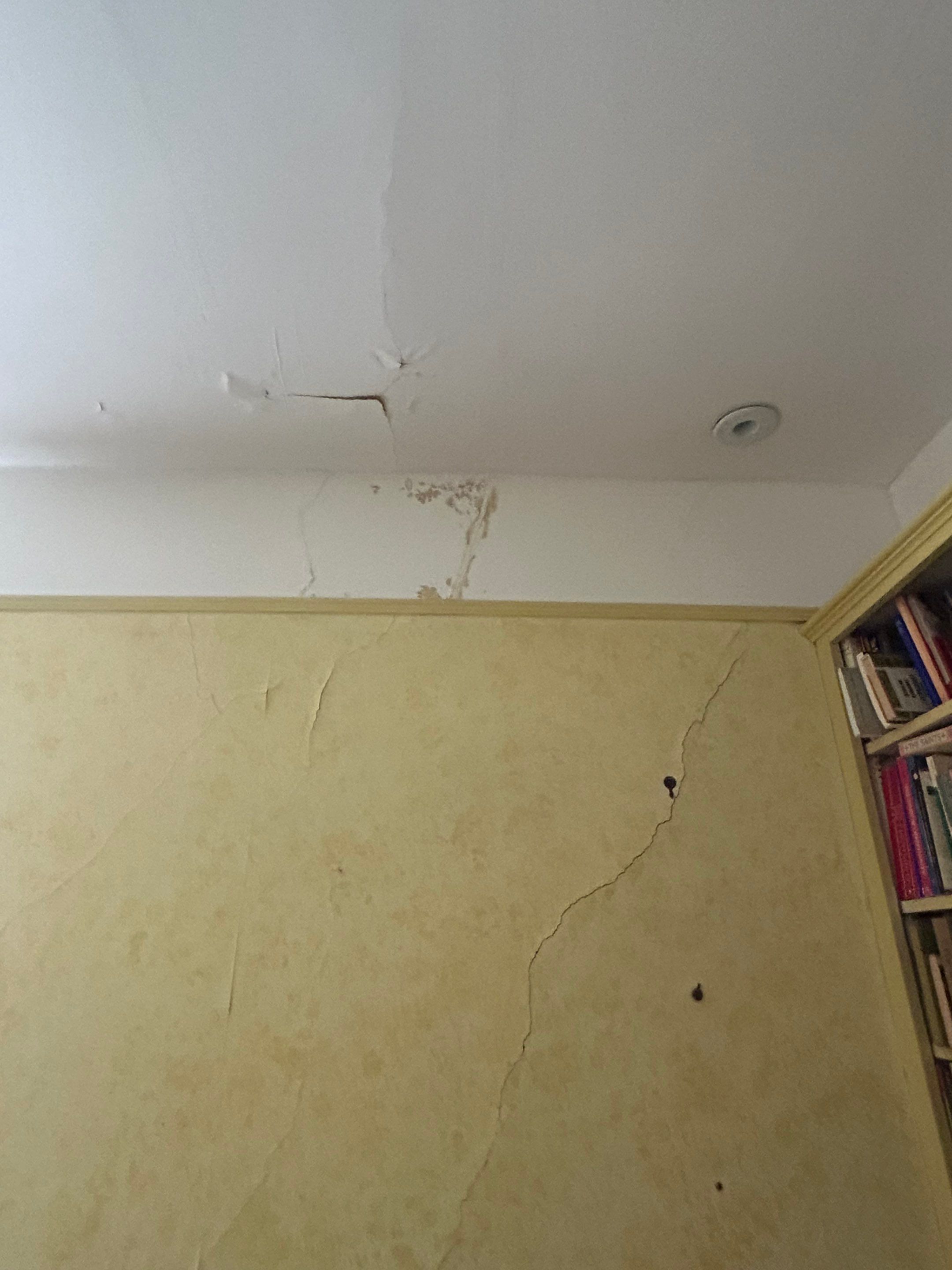 Alexandra: Residential Metal Roofing  by RM Banning, Inc.