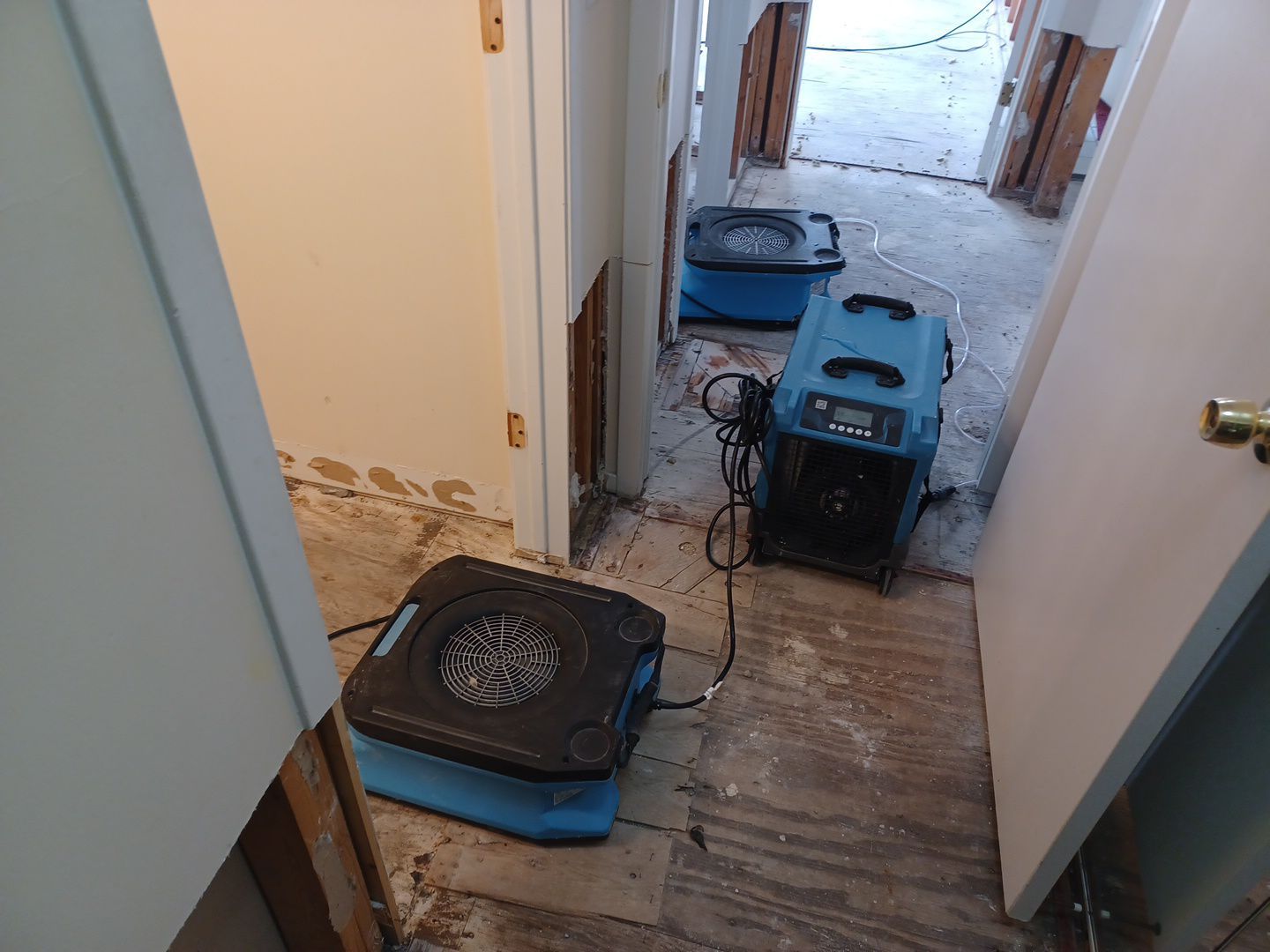 Project in Commerce Twp by EzDry Water Mitigation & Property Restoration