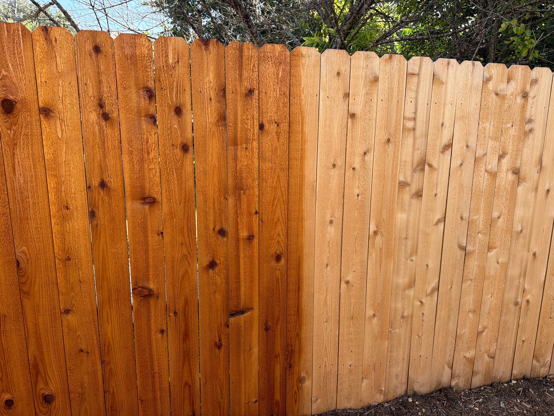 Austin Cedar Fence Stain by Rhino Home Care