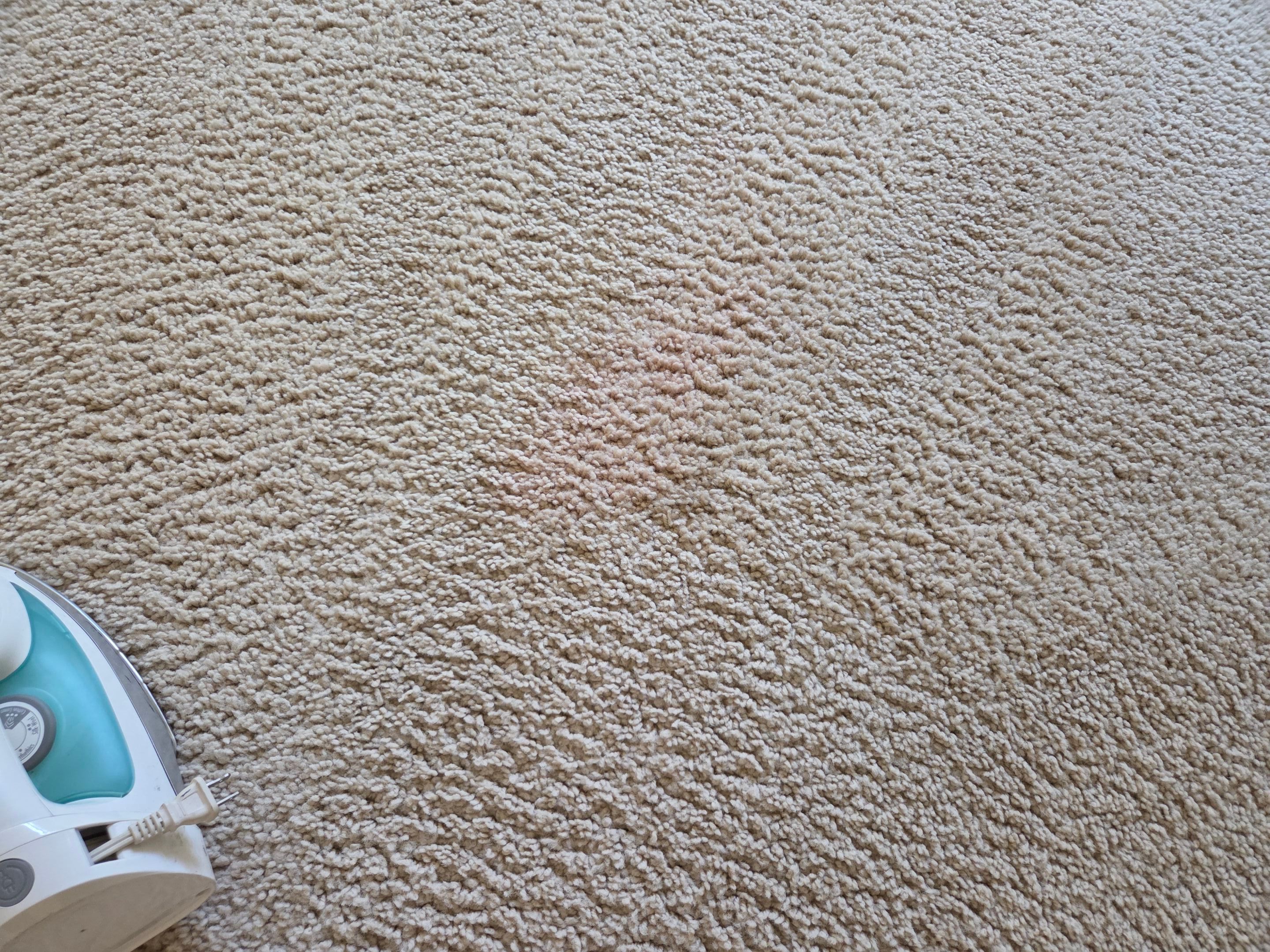 Carpet Cleaning and Stain Removal in Shingle Springs by Ardent Carpet Restore LLC