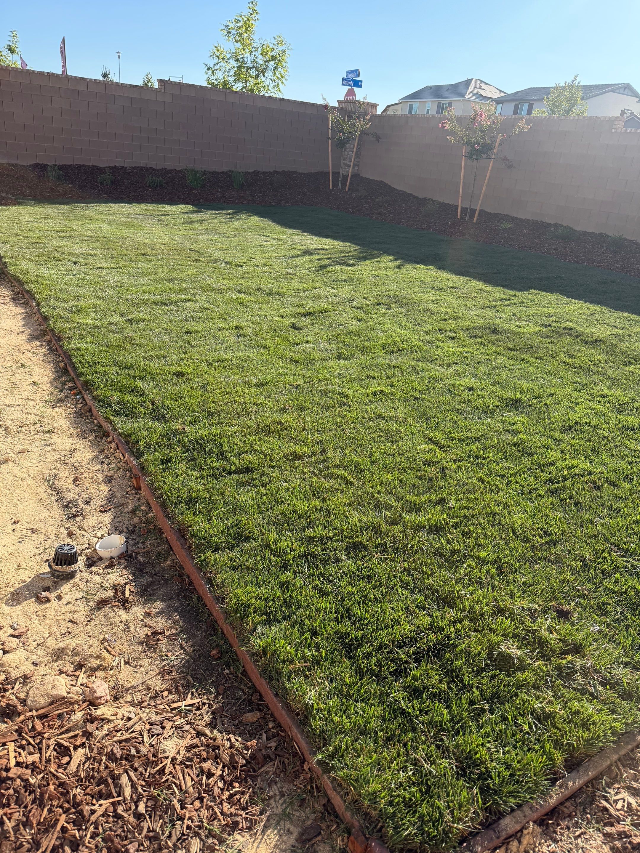 Project in Acampo by A - G Sod Farms