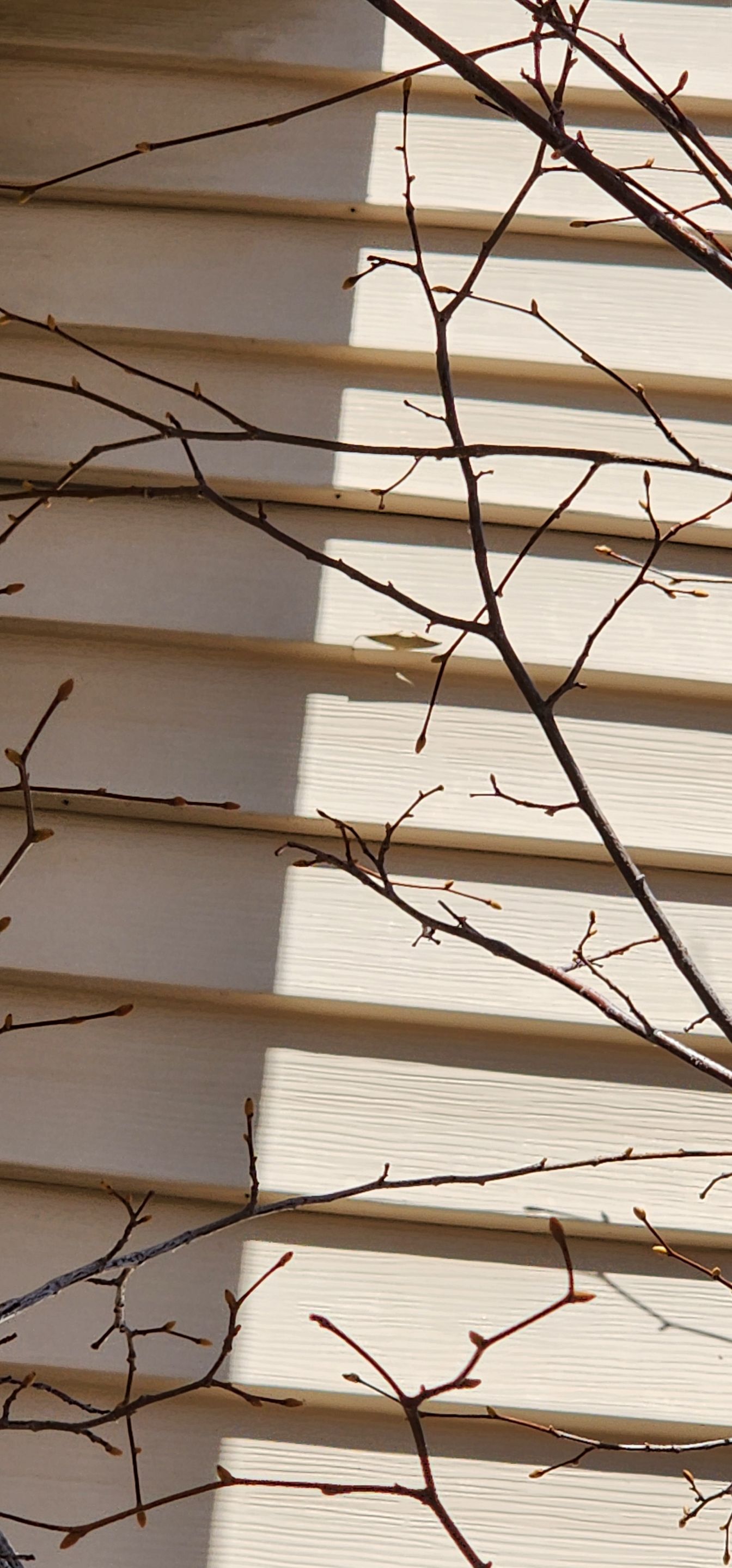 Hail Damage Inspection  by 1st choice windows and siding