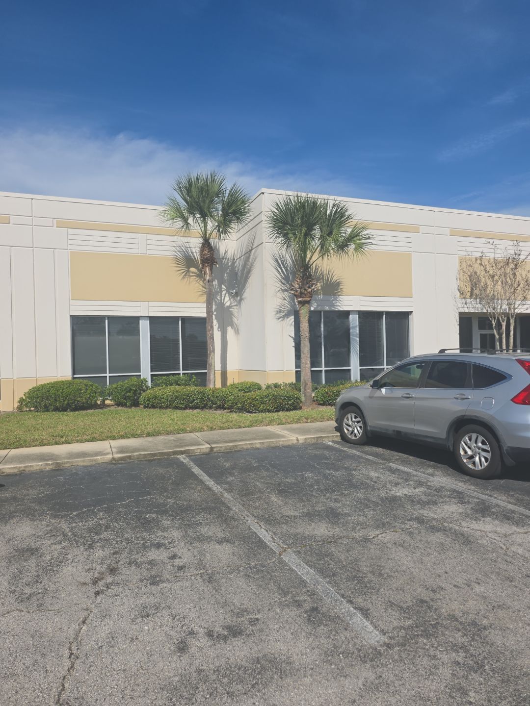 Tree & Palm Trimming | Commercial Property by ProGreen Services