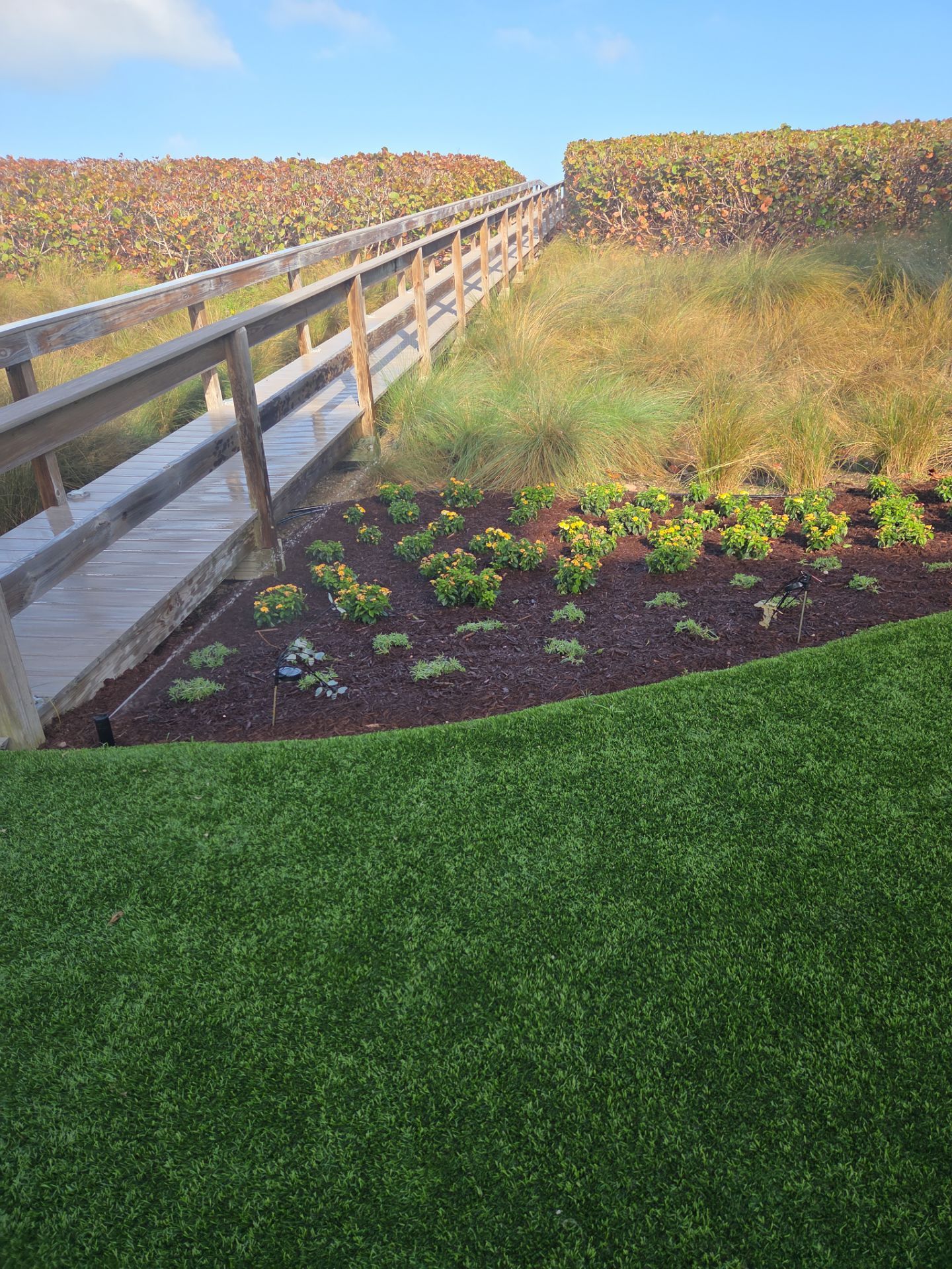 Hutchinson Island Oceanfront Landscape Restoration by Alpha Zeta Enterprises Inc