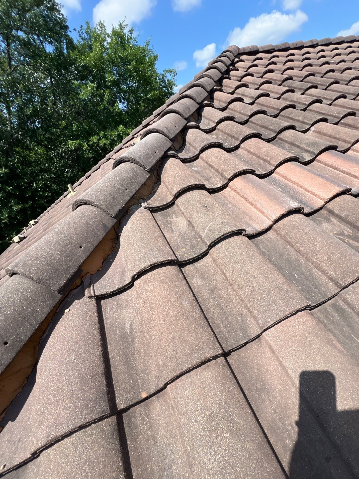Roof Repair Spring by Roof Repair Company