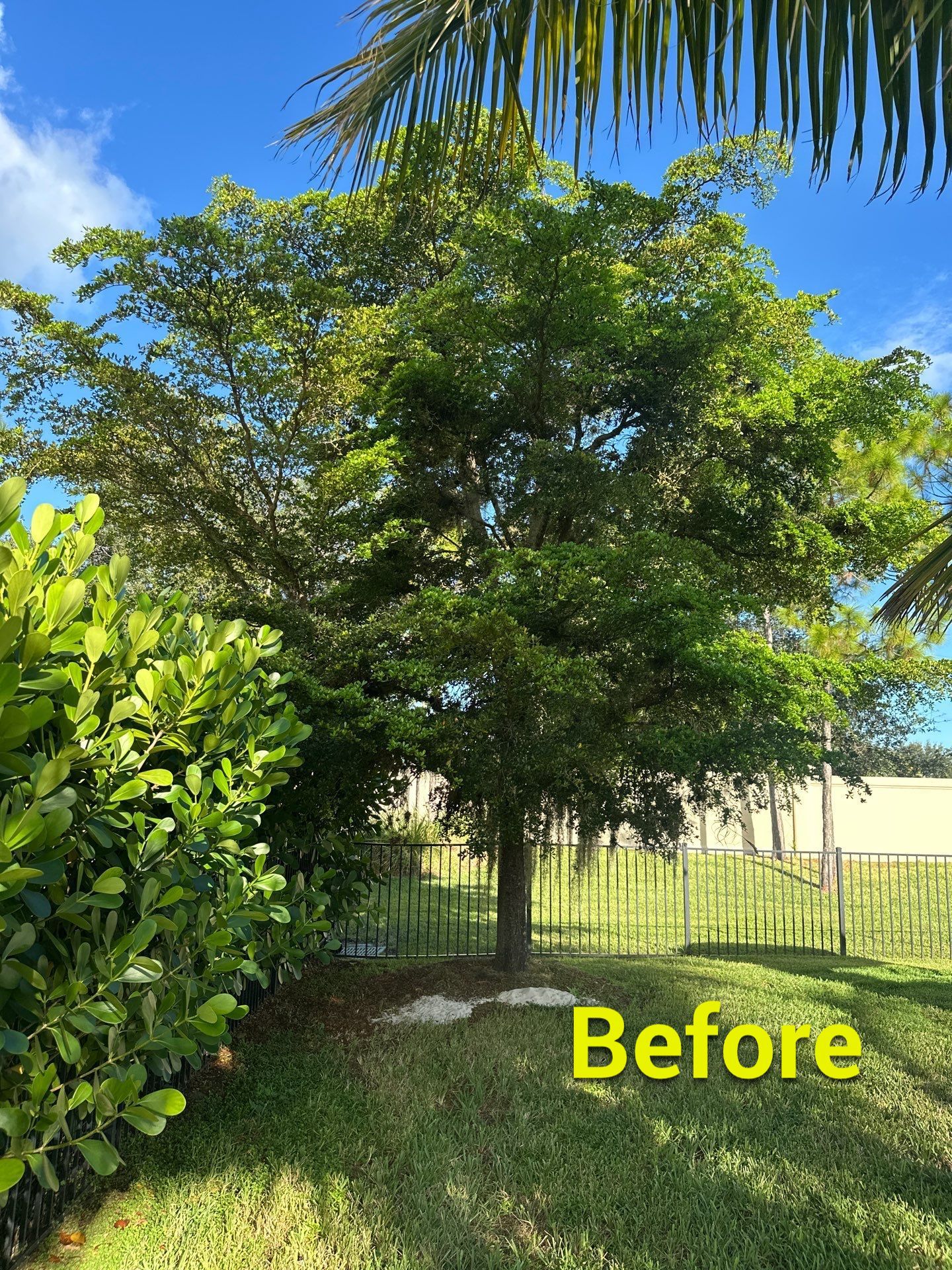 From Overgrown to Picture-Perfect - Stuart Refresh by Alpha Zeta Enterprises Inc