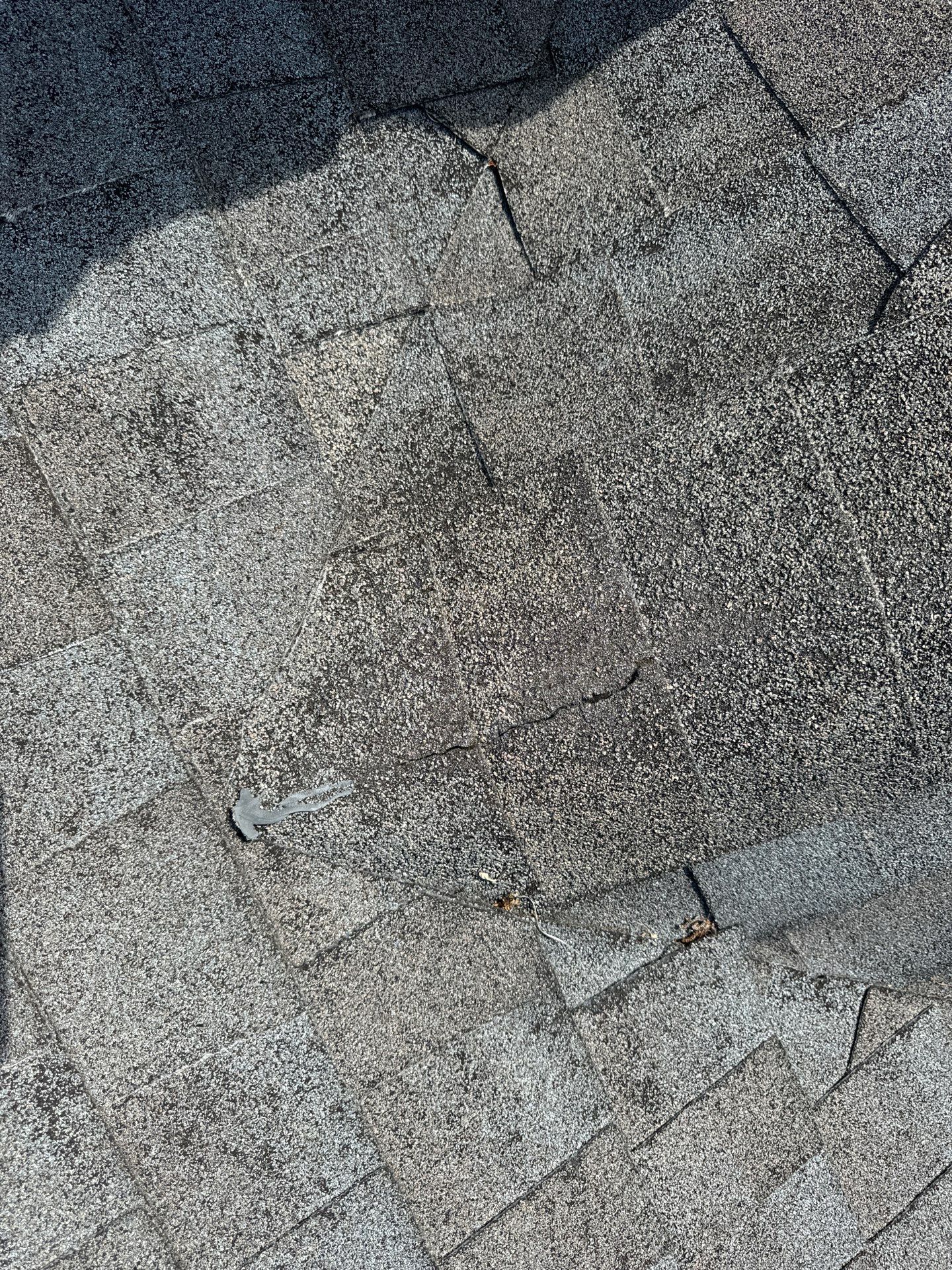 Carol Calhoun by United Contracting and Roofing