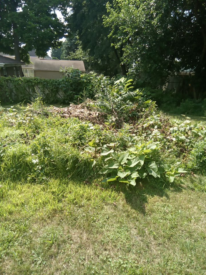 Tree Removal using Tree Removal by Mike Jones & Sons Tree Service LLC 