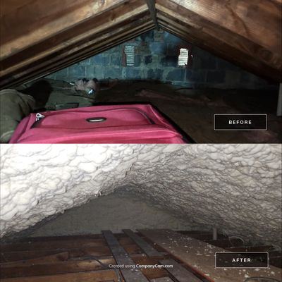 Project in Arlington, VA