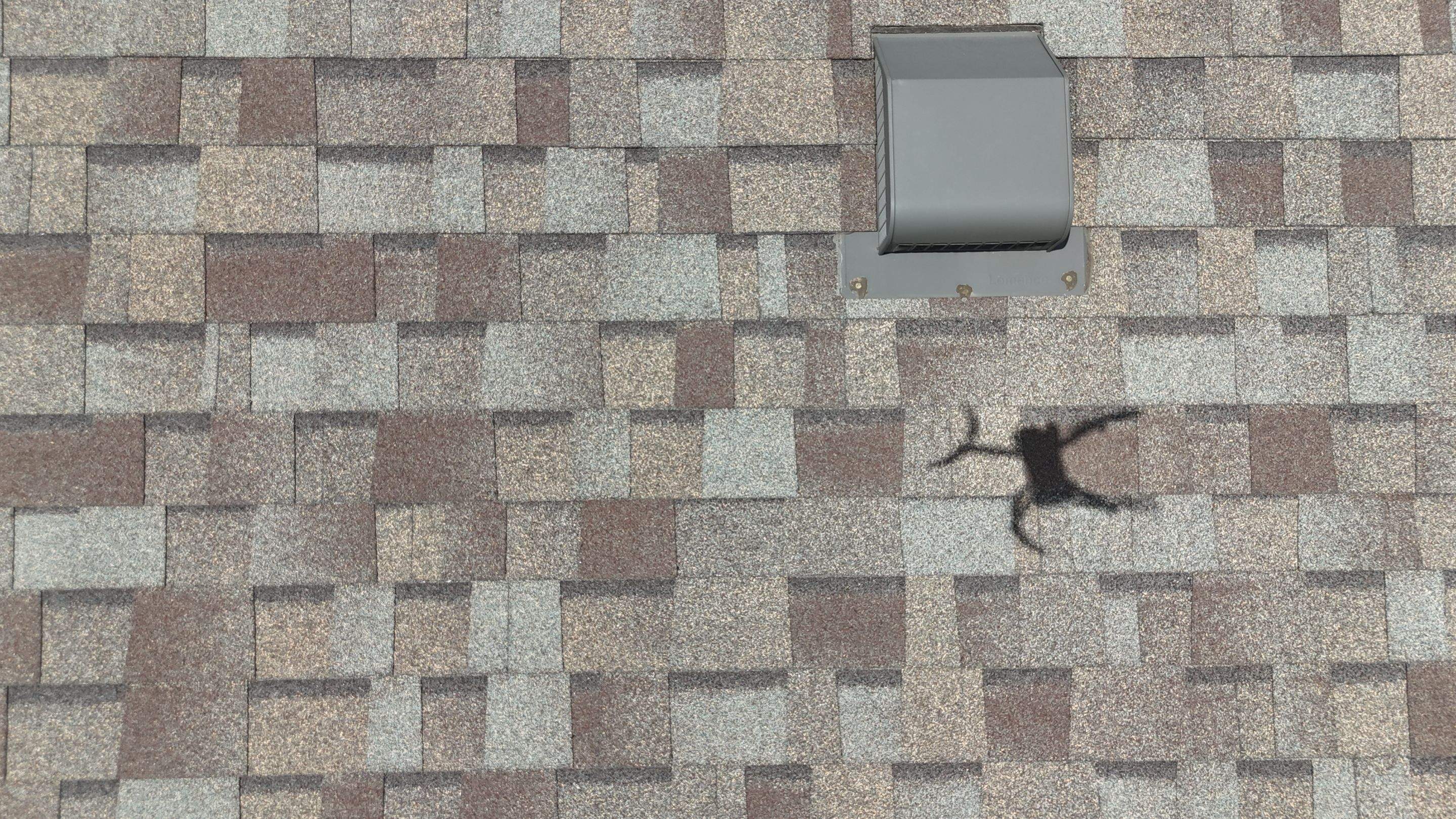 Slatestone Gray - Owens Corning TruDefinition Duration by RoofsOnly.com