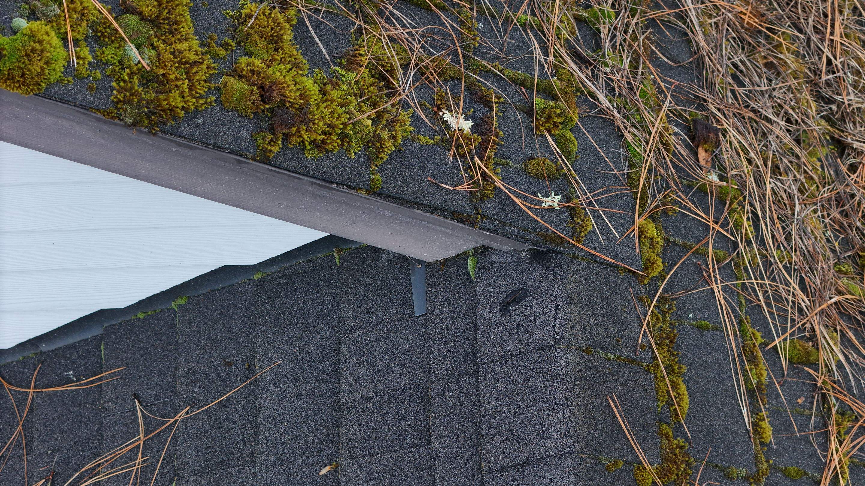 Severe Roof Maintenance in Beaverton by Prodigy Roof Solutions