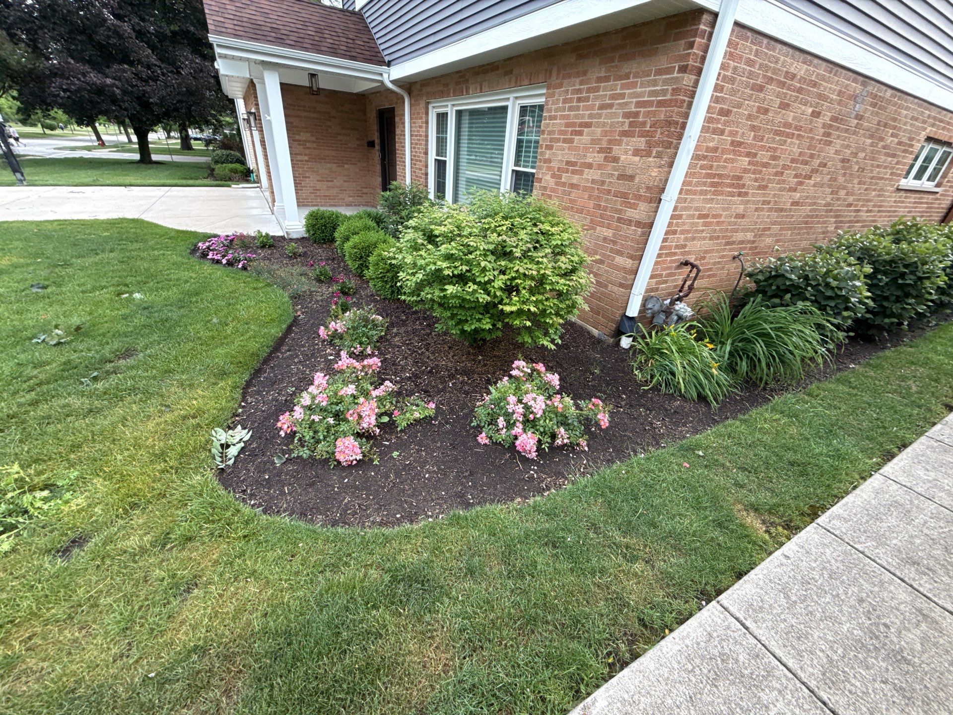 Clay U. - Arlington Heights, IL by A&N 