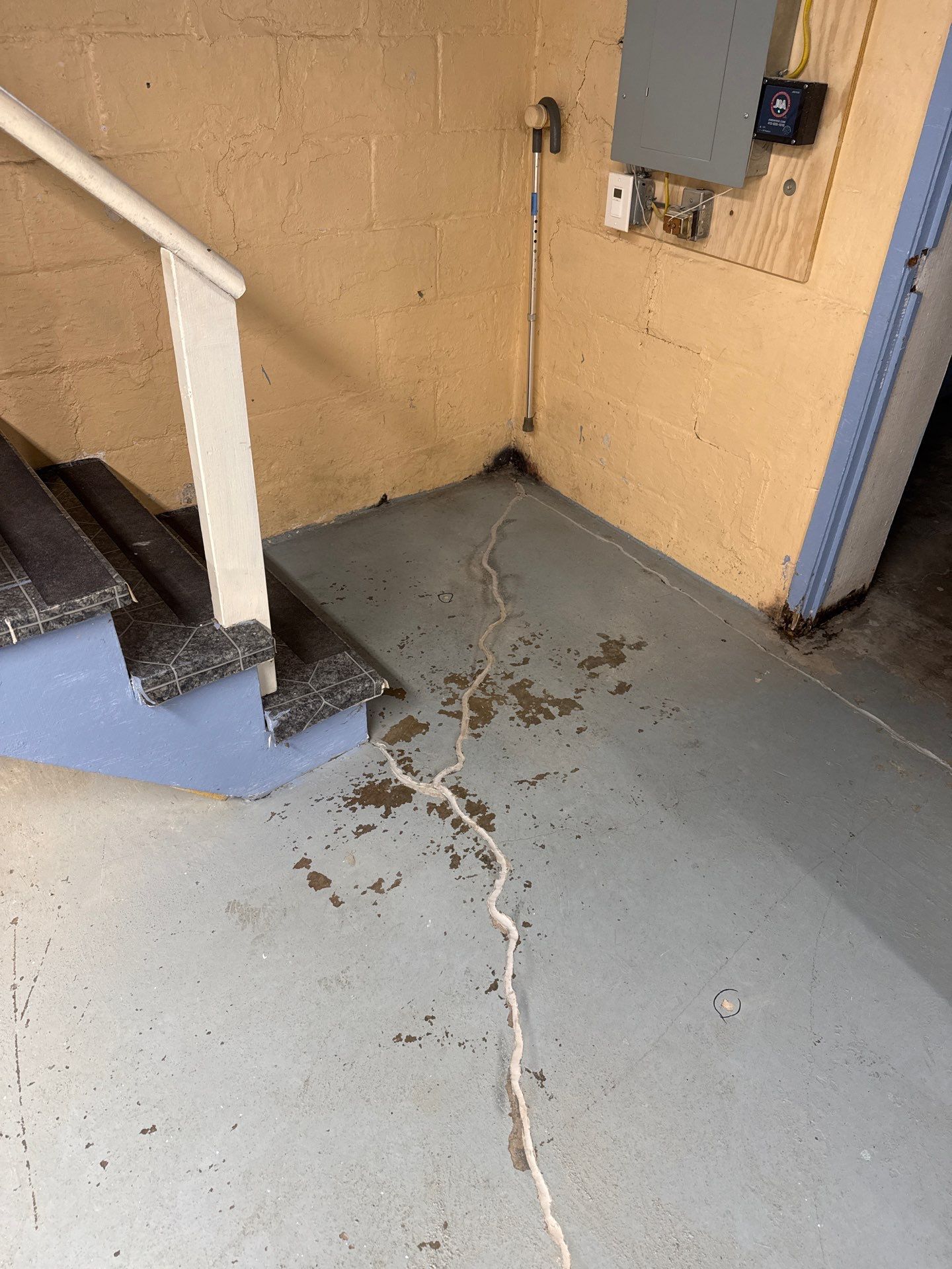 Shoreline Basement Project in Pittsburgh by Floors in a Day, Inc