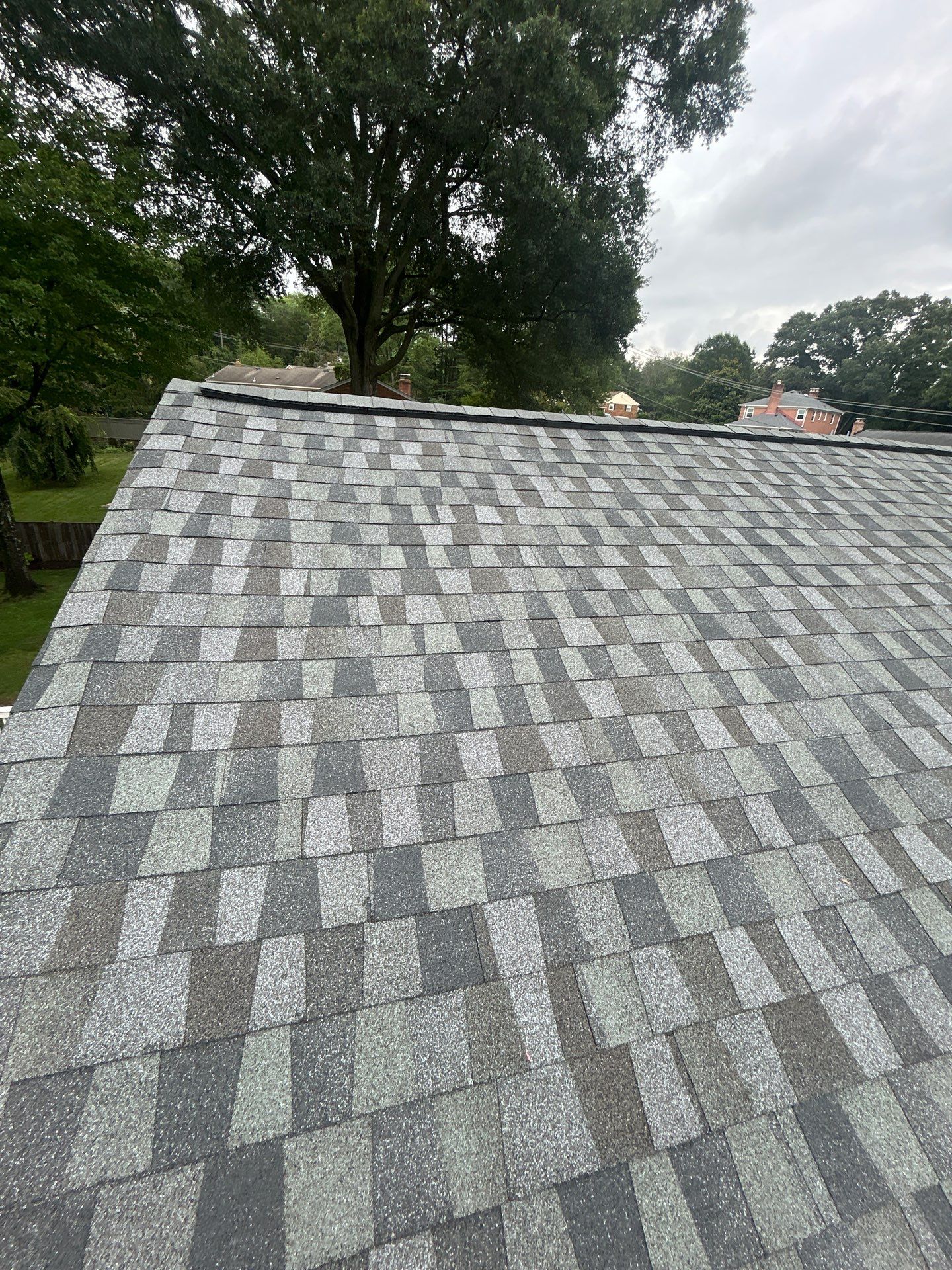 Alexandria: Residential Roof Replacement with GAF Timberline HDZ in Nantucket Morning by RM Banning, Inc.