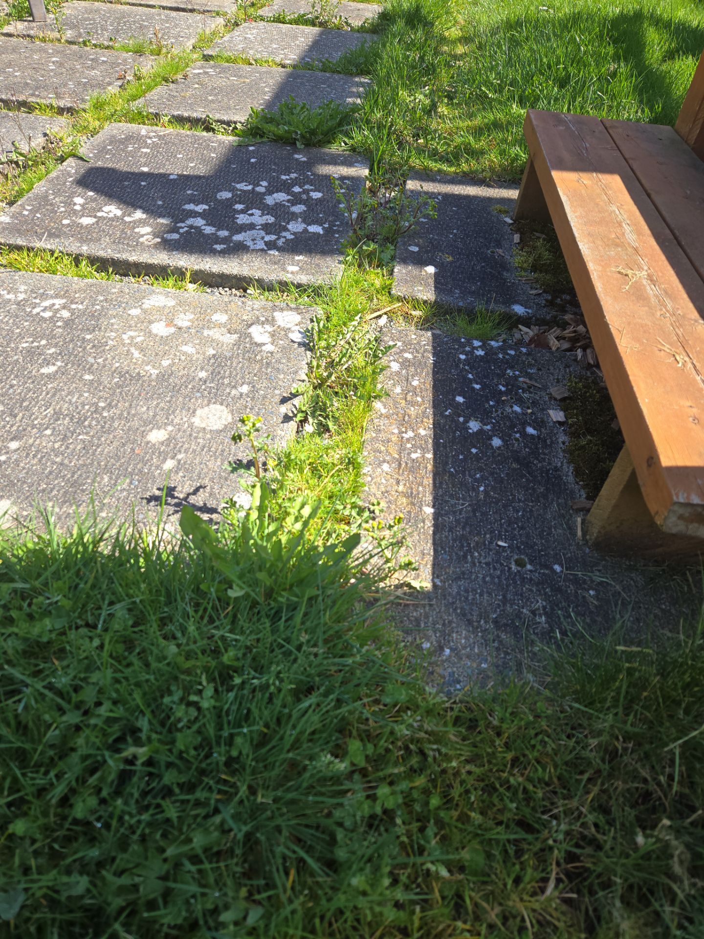 Paver Reinstallation and Restoration – Drainage and Aesthetic Enhancement by Habanero Garden and Exterior Care