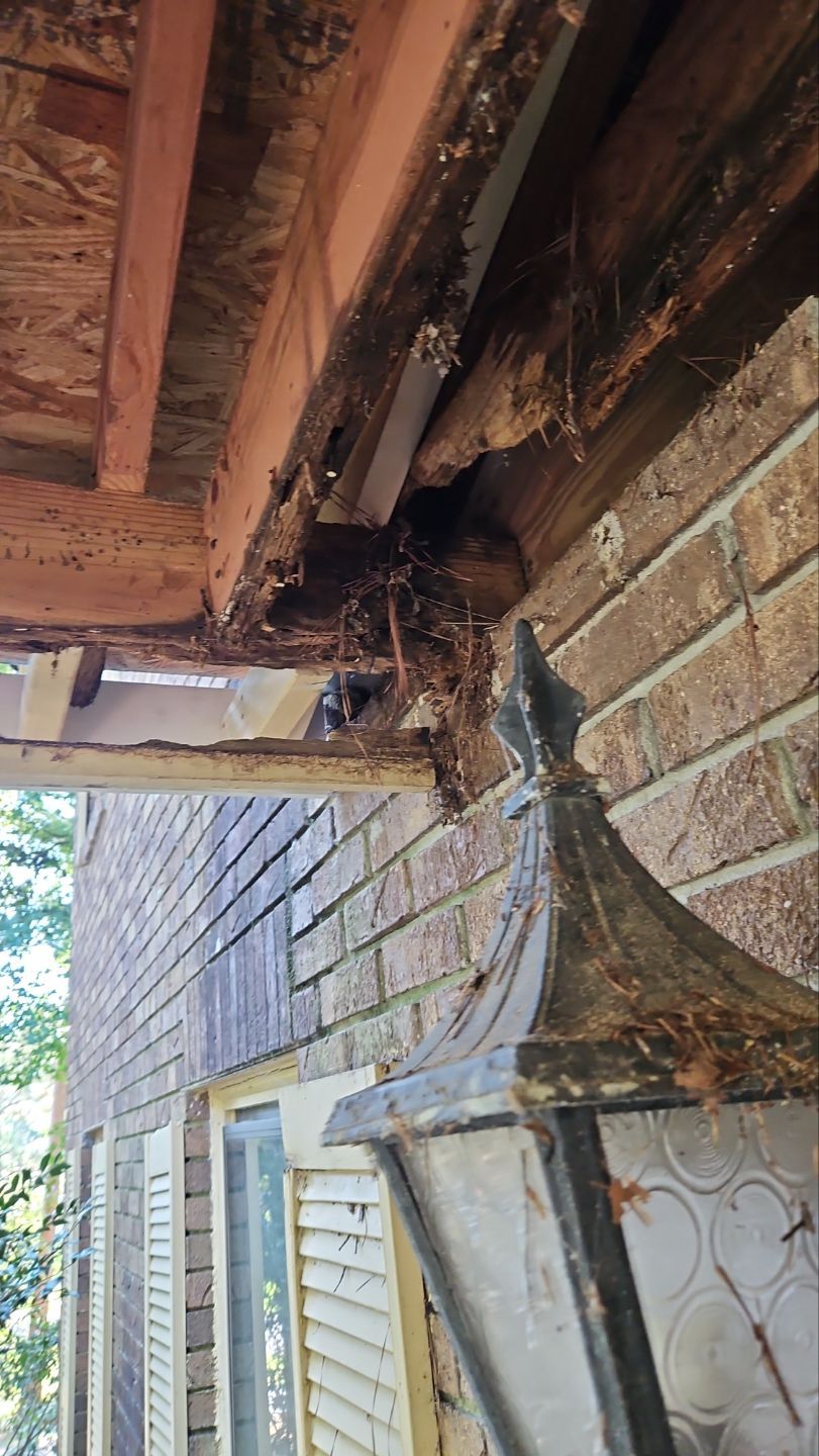 NEW ROOF WITH TRIM RESTORATION by Indigo State Roofing