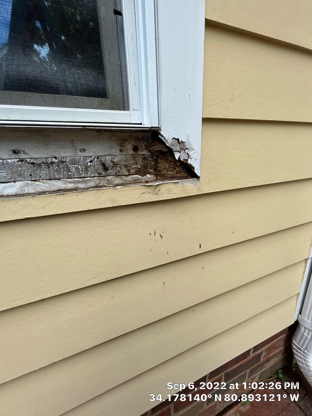 Window Trim Repair by Thompson Industrial