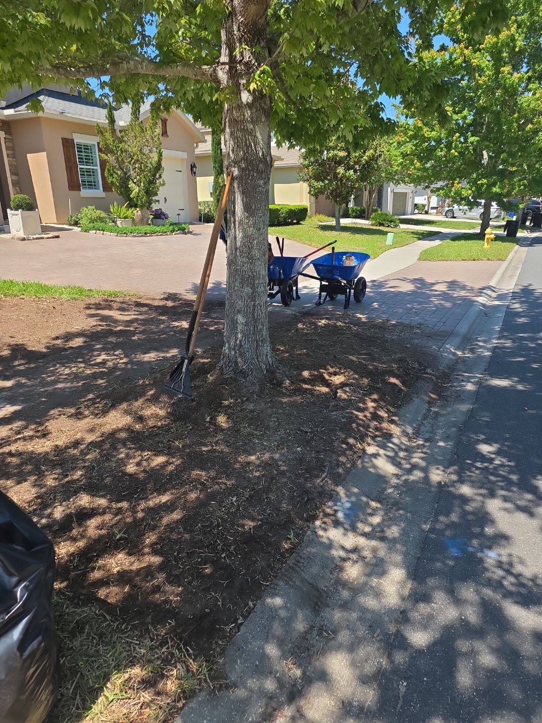 Residential | Sod Installation by ProGreen Services