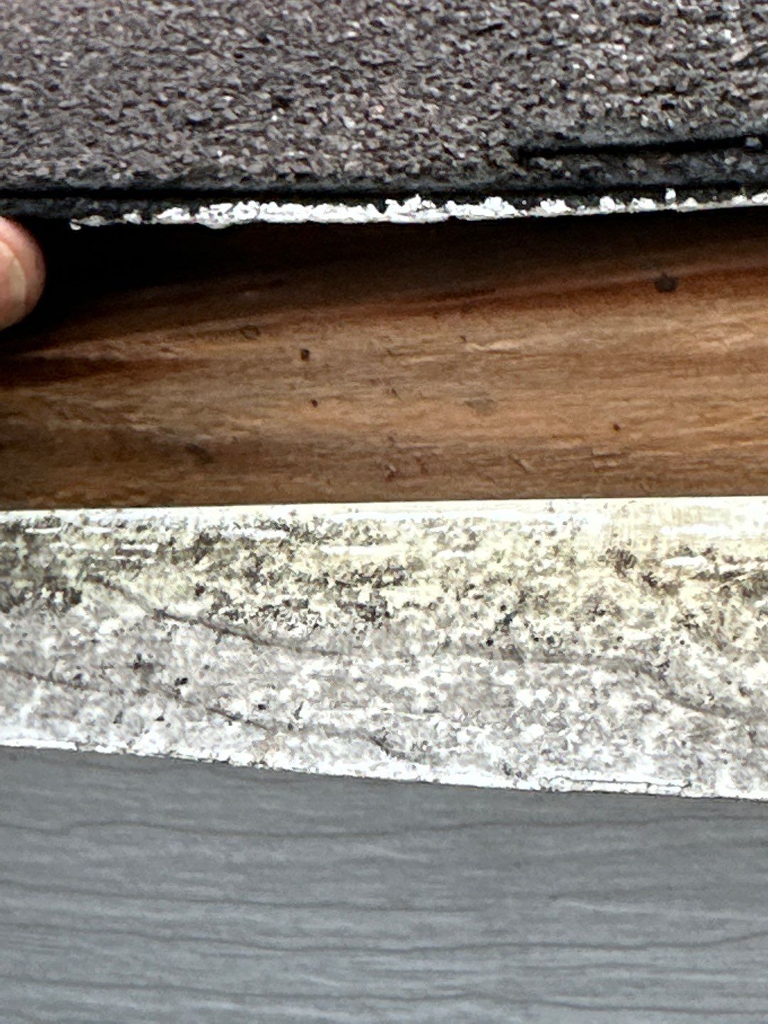 Oakridge TruDef Estate Gray Residential Roofing Installation by Inspector Roofing and Restoration