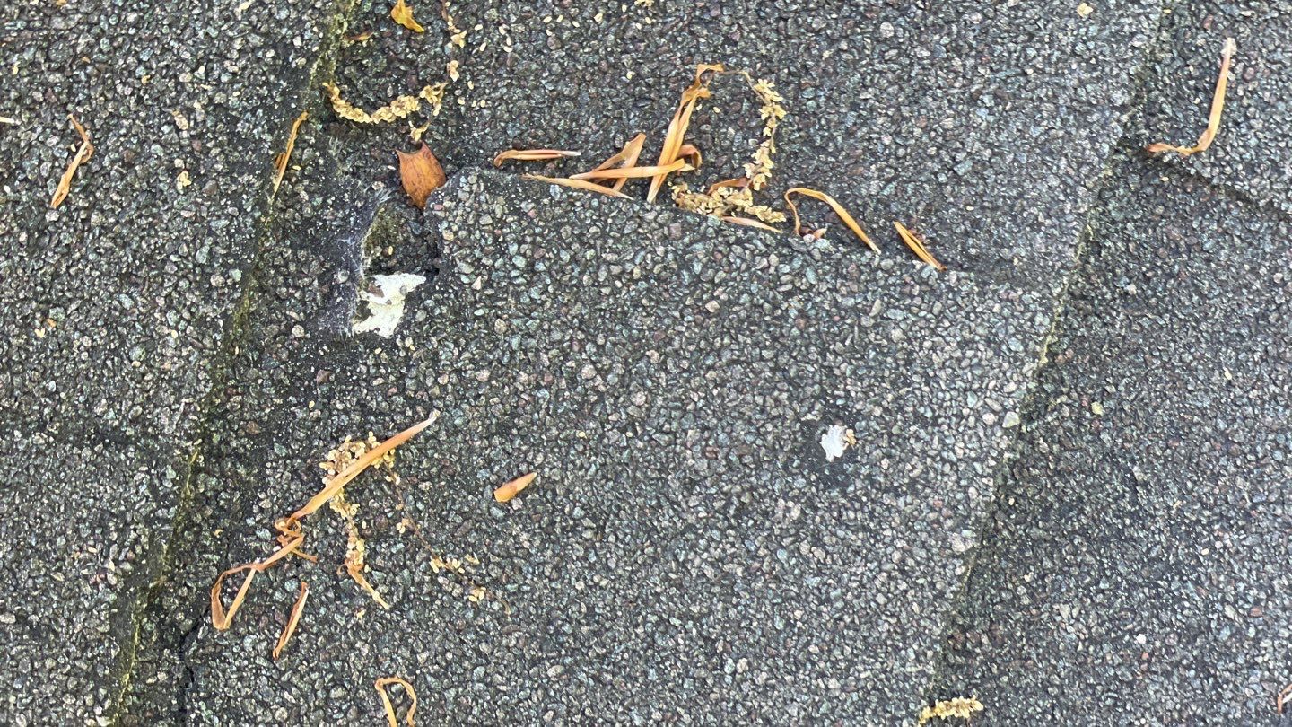 Springfield CertainTeed Landmark Weathered Wood Roof Installation by RM Banning, Inc.