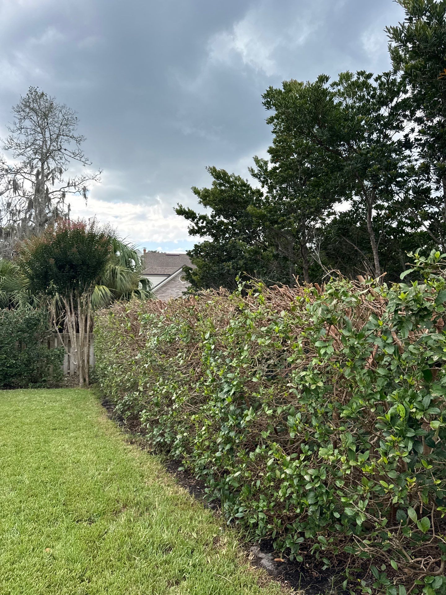 Deerwood Resident | Shrub Trimming by ProGreen Services