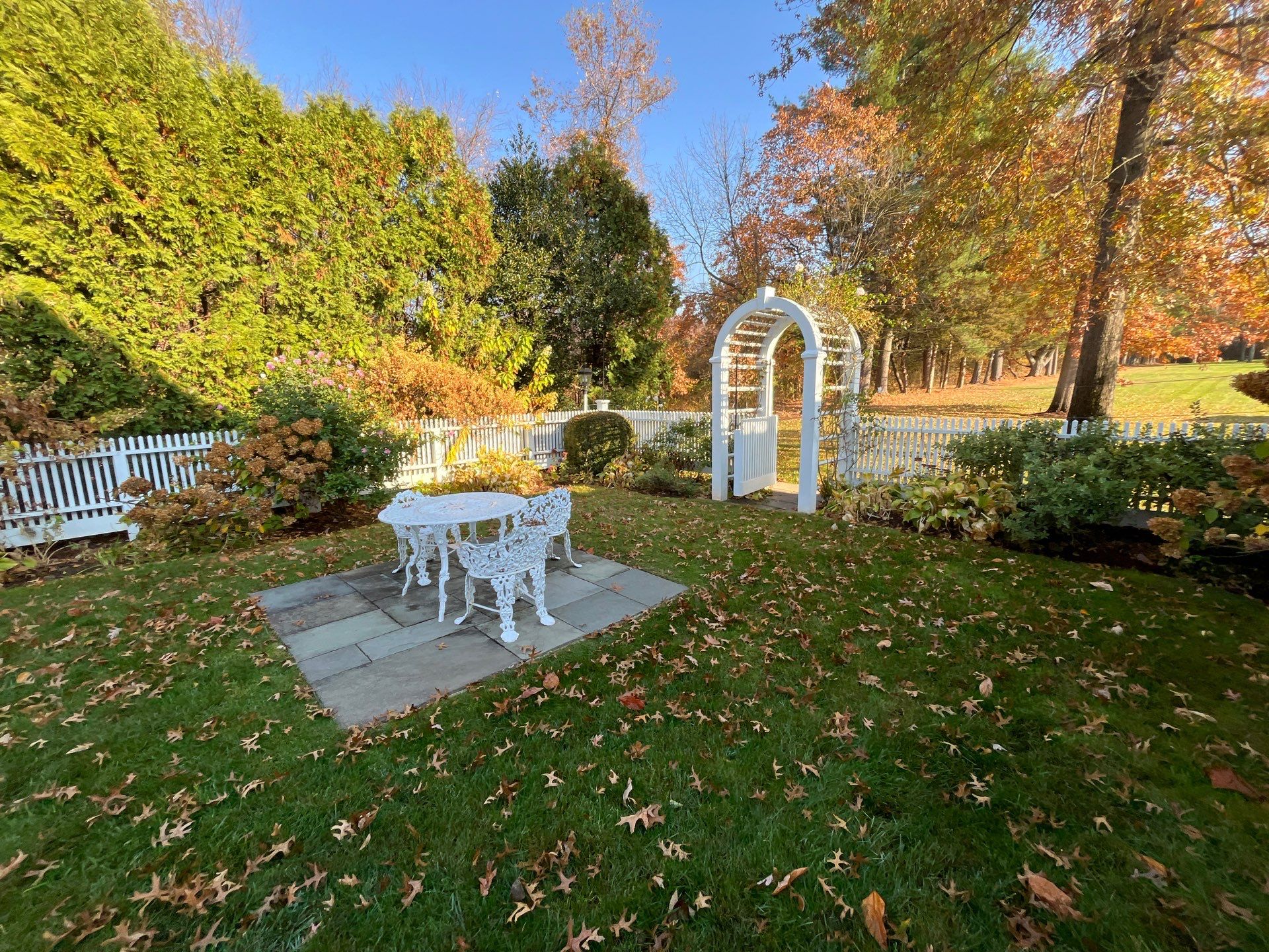 Professional Lawn Care for Far Hills Estate by Ants Plants