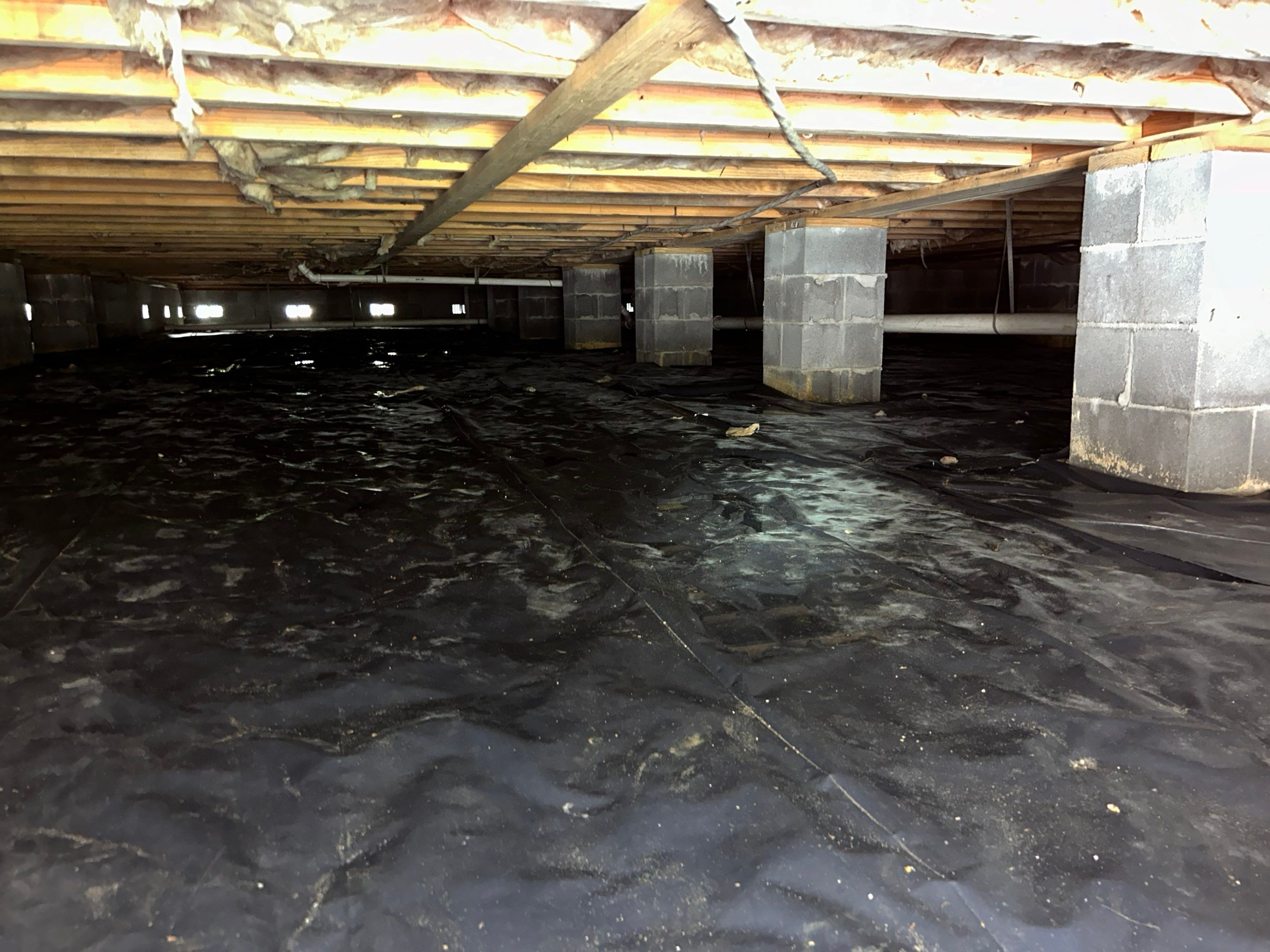 Premium Encapsulation with 20Mil, Borafoam insulation and Light System. by Impact Crawlspace