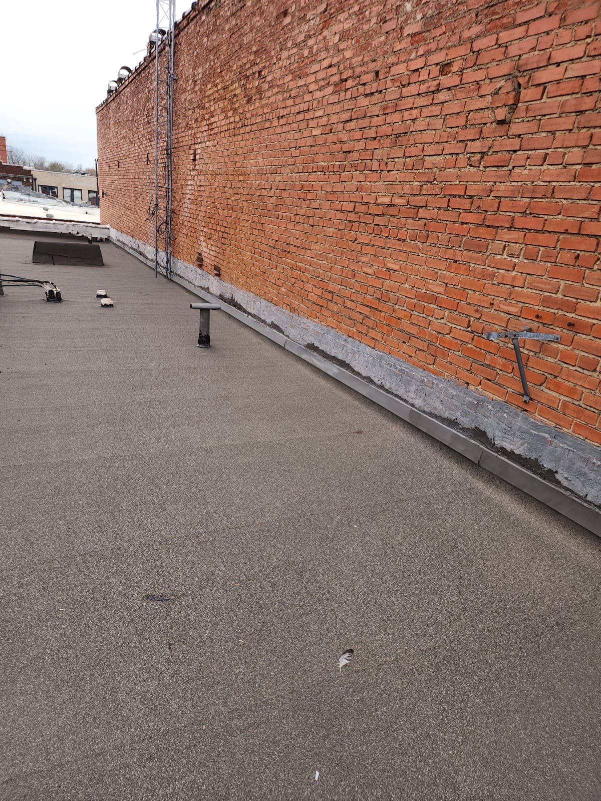 Project in Paris  by Zeus Exteriors