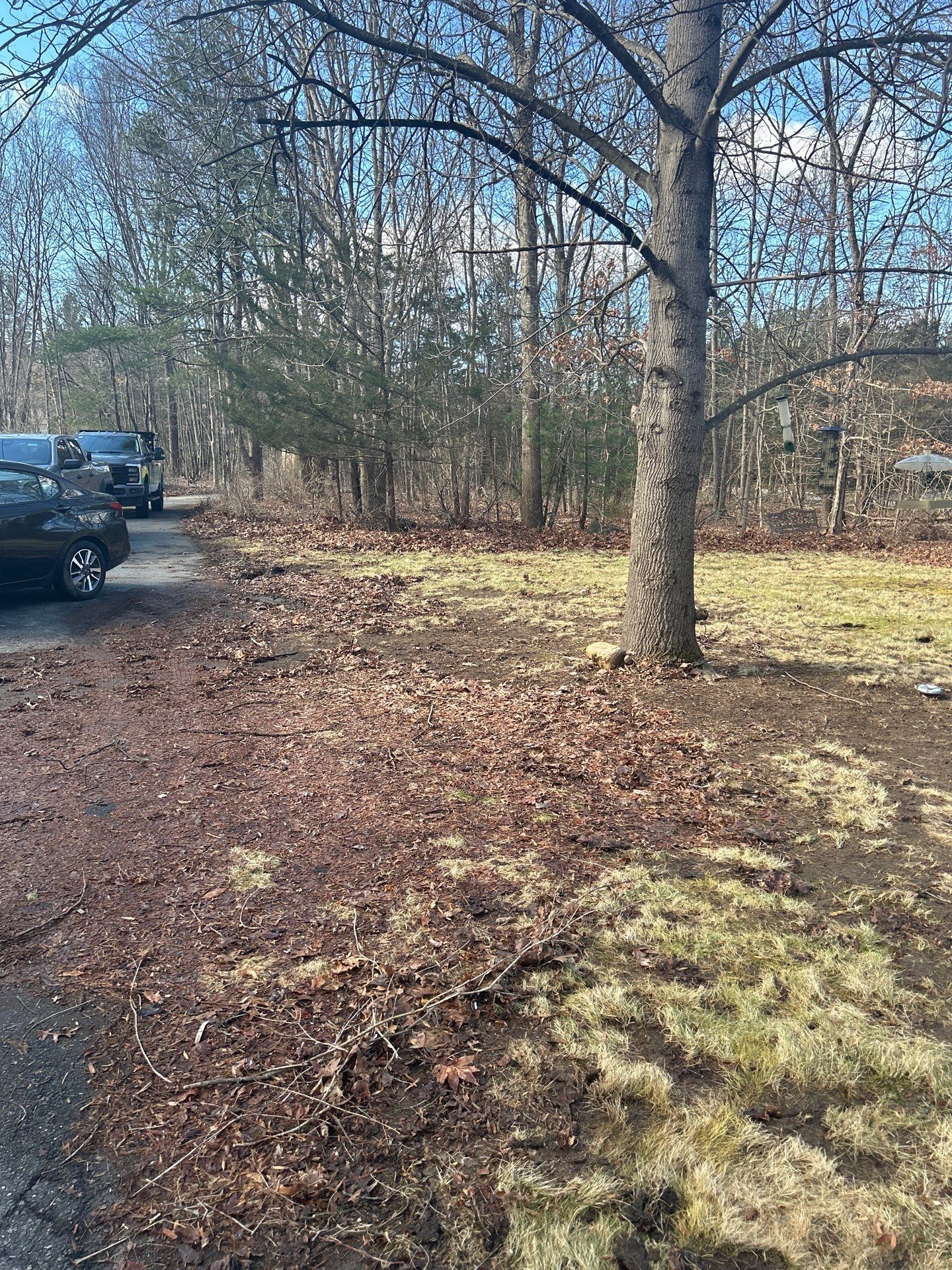 Landscape Walkthrough by LaMere Landscaping and Property Maintenance