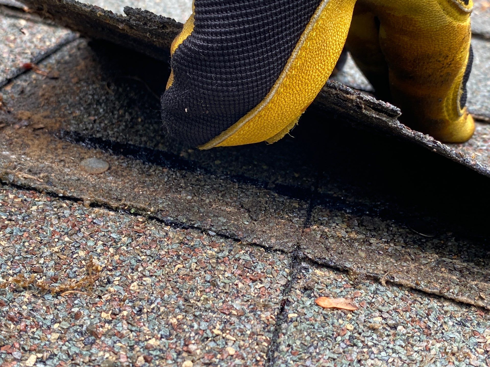 Roofing | Chelmsford by Mighty Dog Roofing of Greater Middlesex County