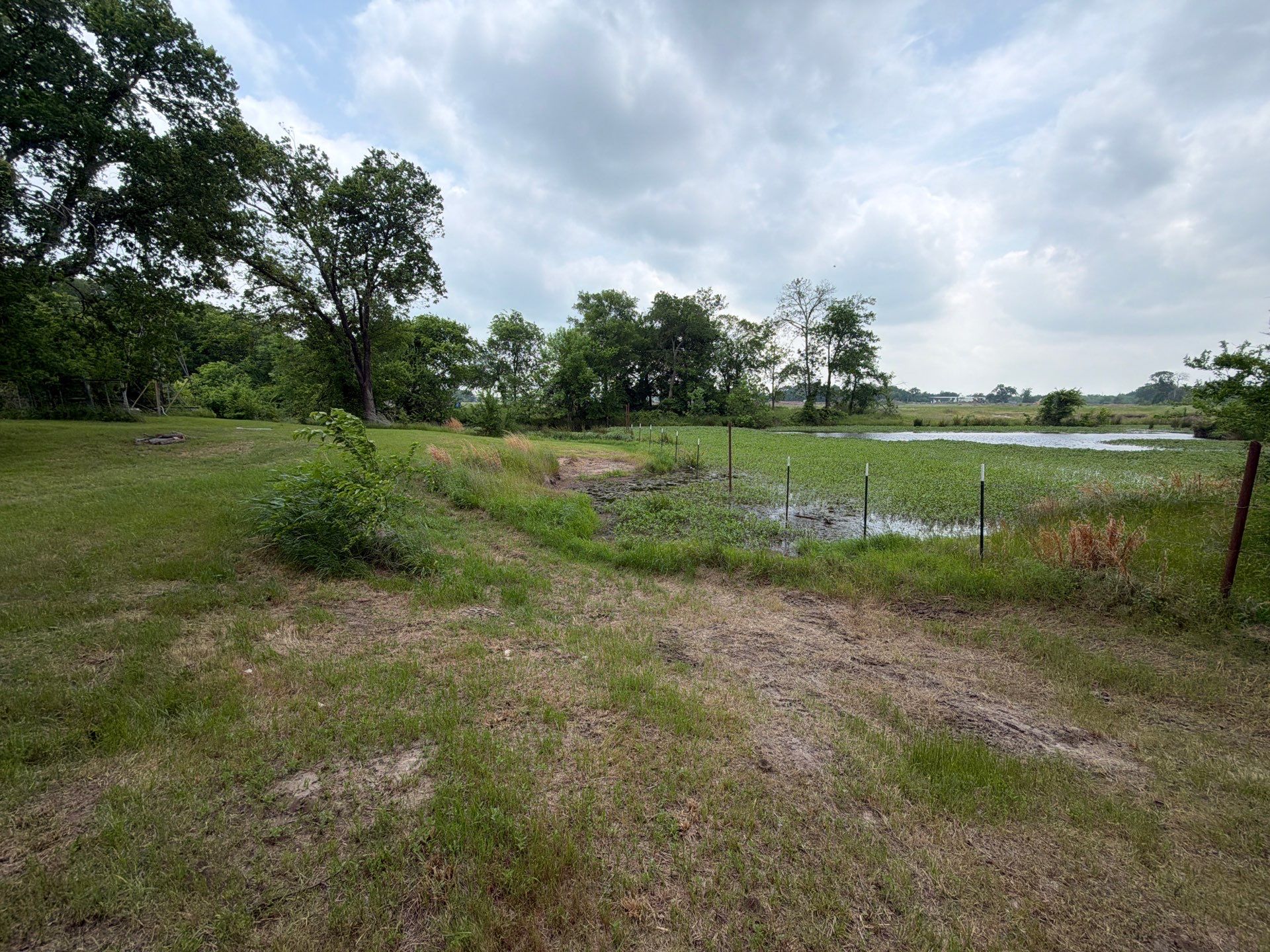 Project in Terrell, TX by Rockwall Honey Bee Company
