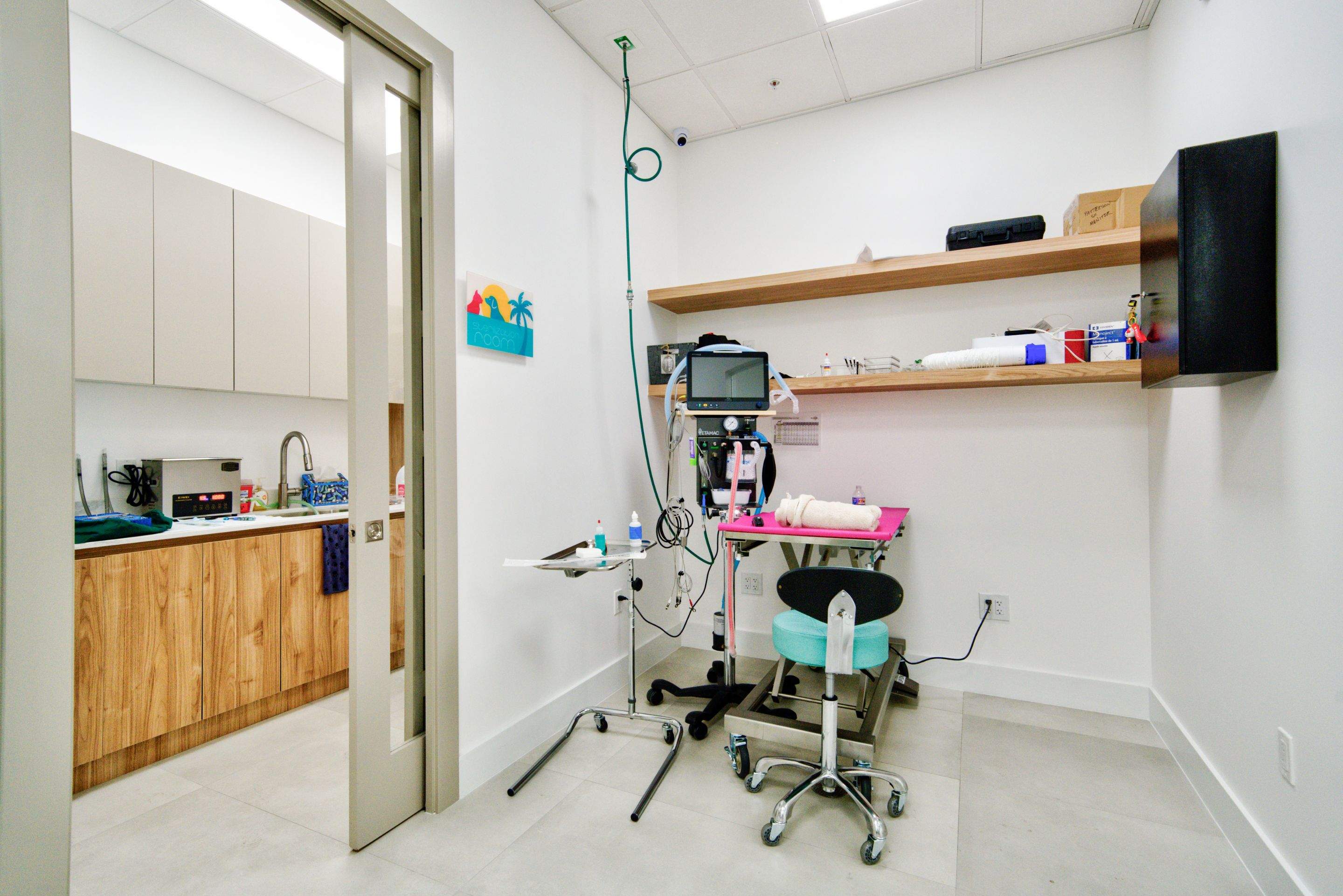 Happy Pet Eyes by Ruiz Construction Inc