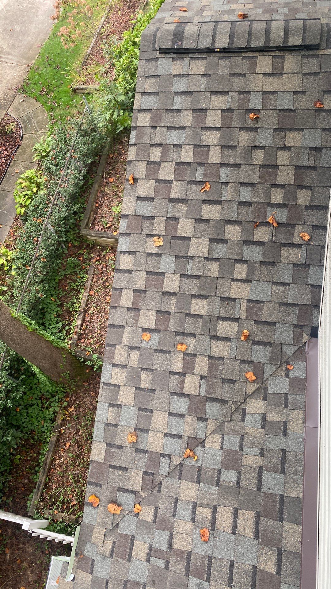 Springfield : Residential Roof Replacement with CertainTeed Landmark Pro in Max Weathered Wood  by RM Banning, Inc.