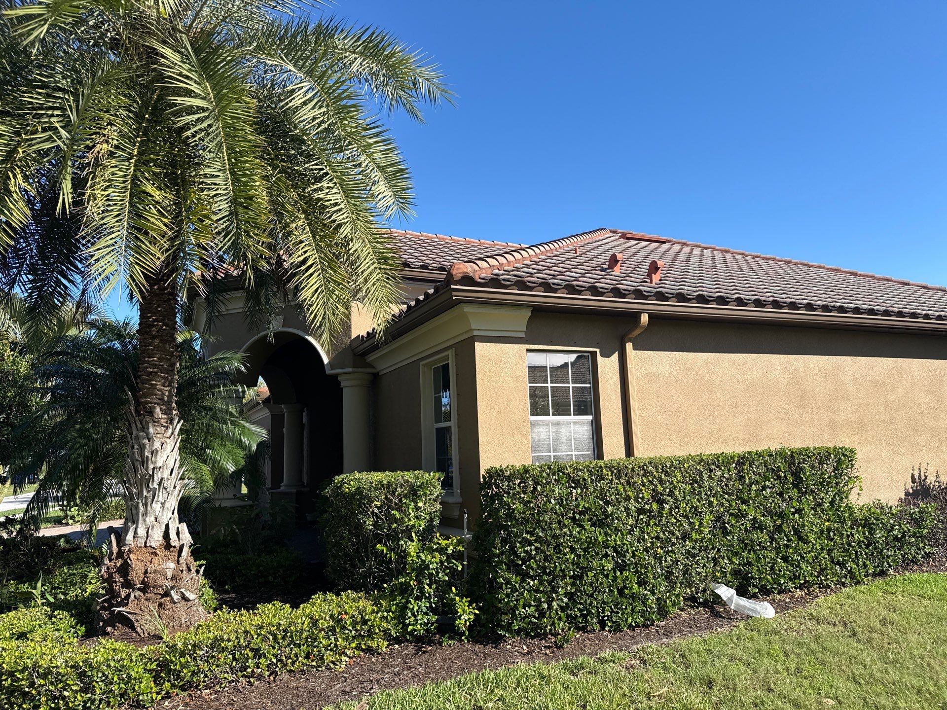 This project focused on a full gutter clean-out to restore proper water flow and prevent overflow issues.  Our scope of work included: 	•	Removing heavy leaf and pollen buildup from the gutter system 	•	Clearing out clogged sections along the rear gutters near the pool cage, where debris tends to accumulate more heavily 	•	Inspecting and cleaning the front gutter guards, which had several blocked areas restricting water flow 	•	Ensuring all downspouts and channels were flowing properly after service  Even with gutter guards installed, debris like pollen, shingle grit, and fine organic matter can still build up over time—especially in Florida’s environment. Regular maintenance helps prevent water damage, overflow, and staining on exterior surfaces.  Another thorough job completed by Sunshine AquaWash® – keeping homes protected from top to bottom. by Sunshine AquaWash