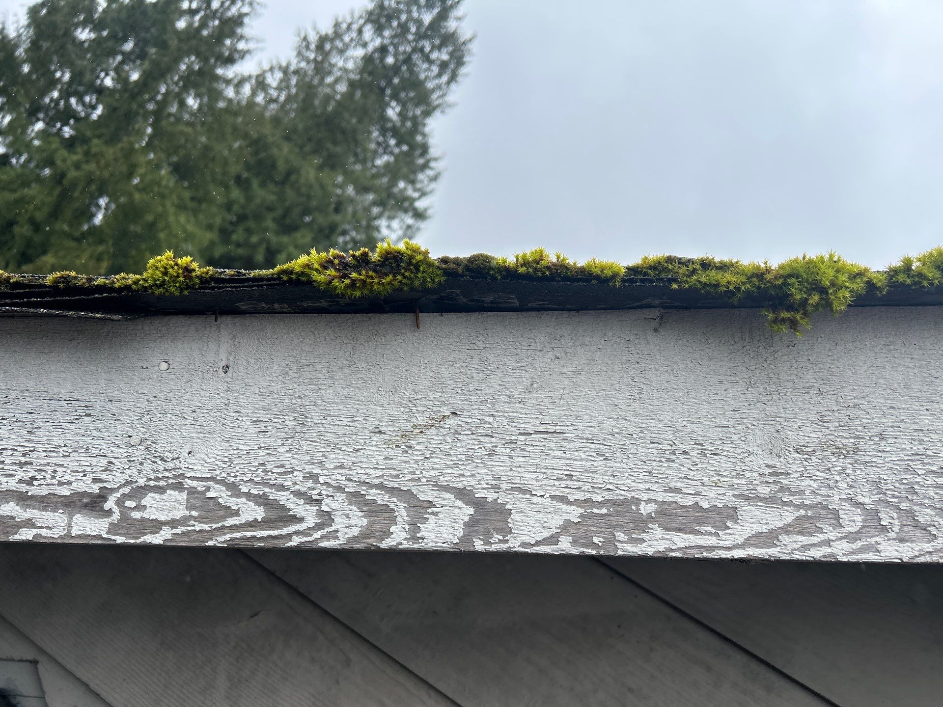 Project in Mill Creek by Connolly Construction Company