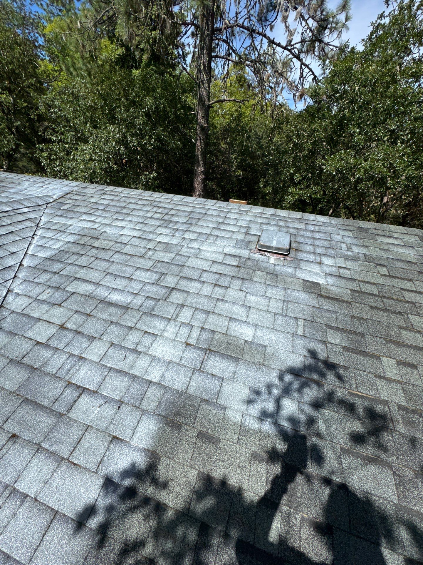 Project in Grants Pass by Roof Maxx of Grants Pass