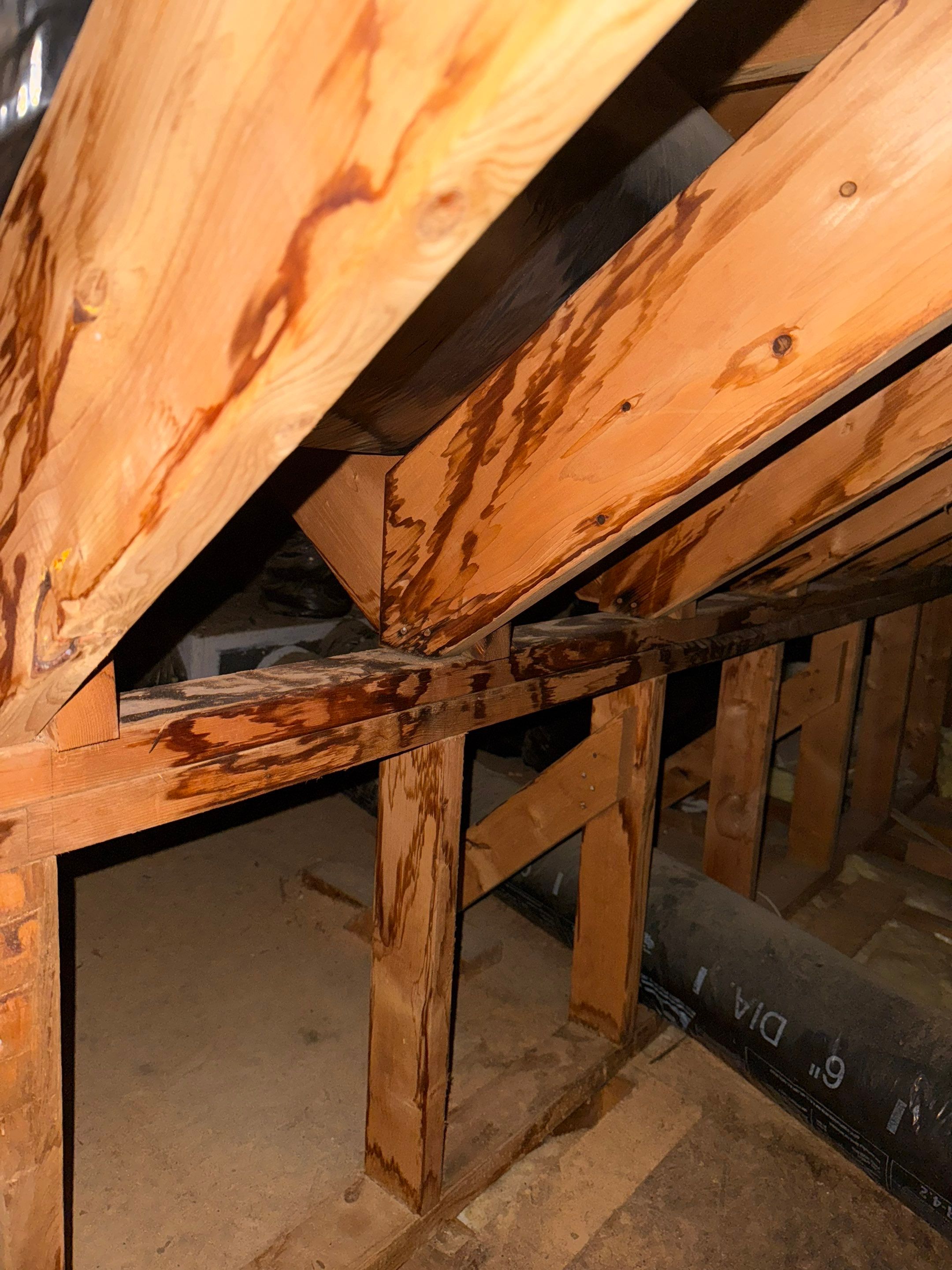 Project in Raleigh - TPO roof replacements  by Pro Performance Roofing