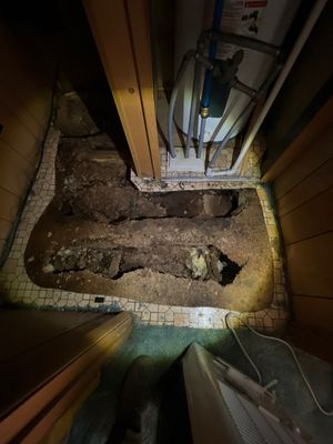Water Damage in Trailer